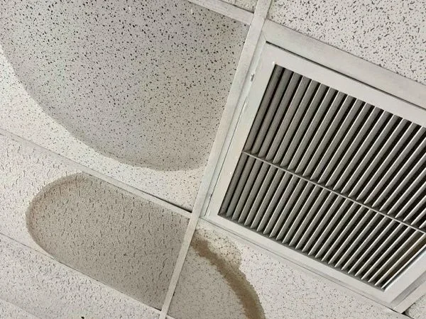 Chasing Roof Leaks: Why Your Ceiling Stain Isn’t Telling the Whole Story