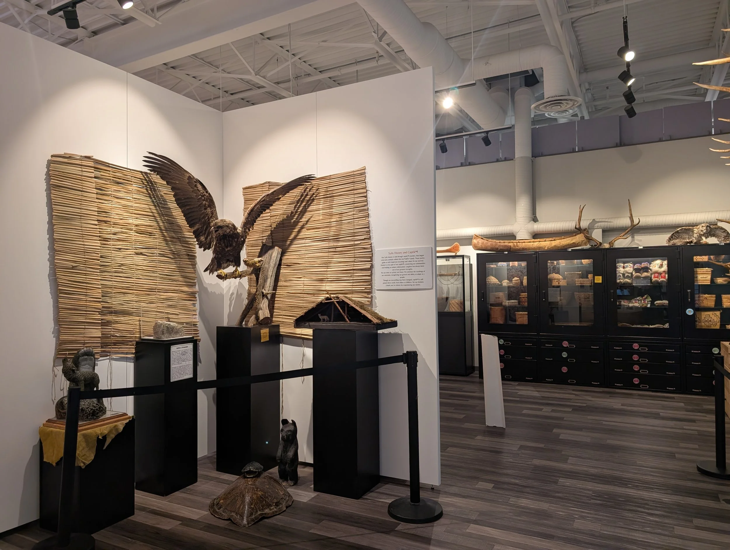 captikʷł Exhibit 2025