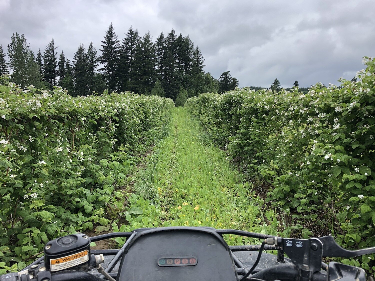 Winters-Farms-begin.JPG
