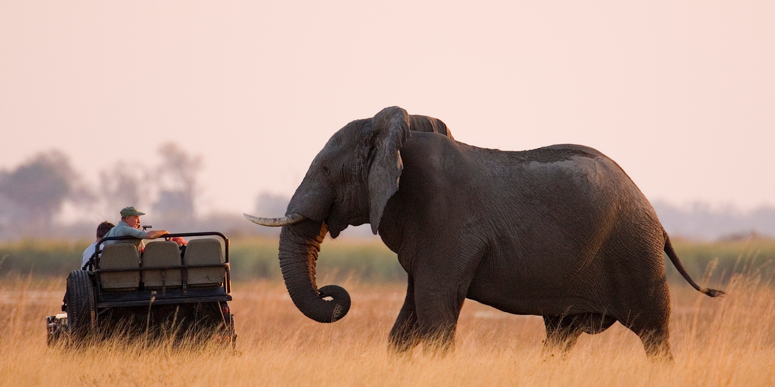 Wanderluxe by Design | Luxury Travel Planning Services