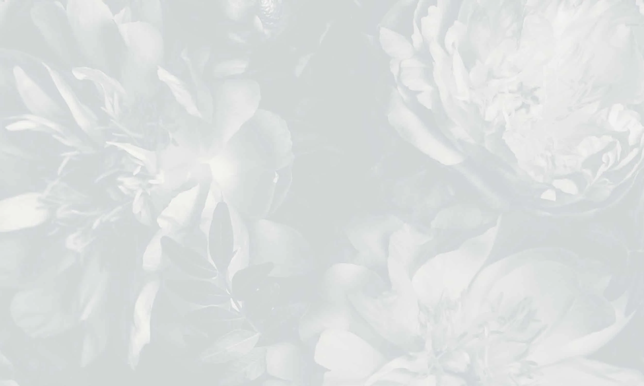 Untitled Design copy copy copy copy.jpeg