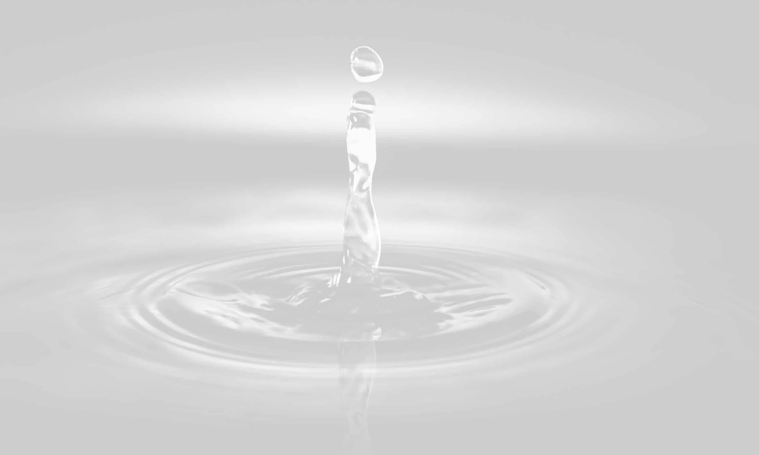 Untitled Design copy copy copy copy copy.jpeg