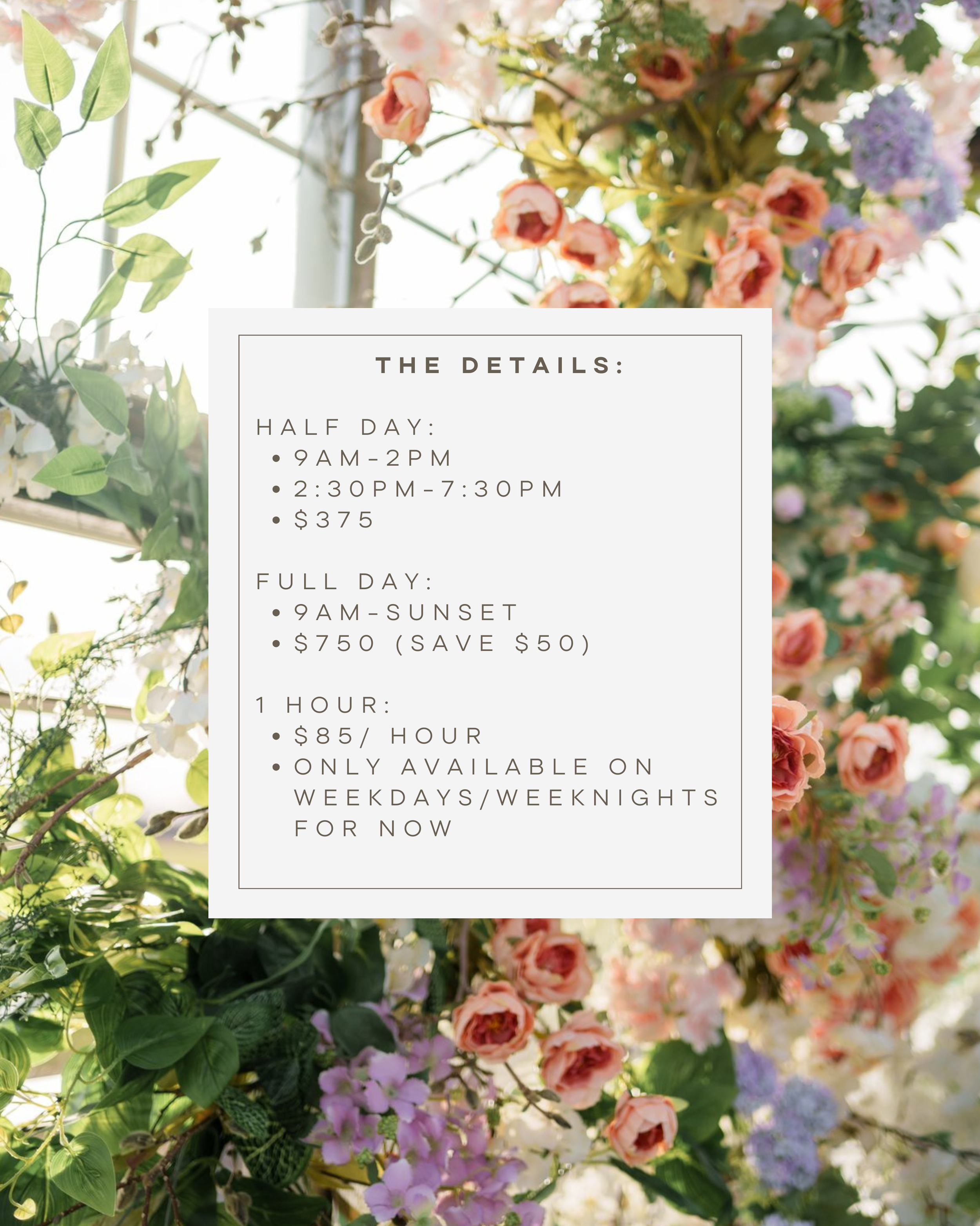 Greenhouse Rentals — The Saol Project