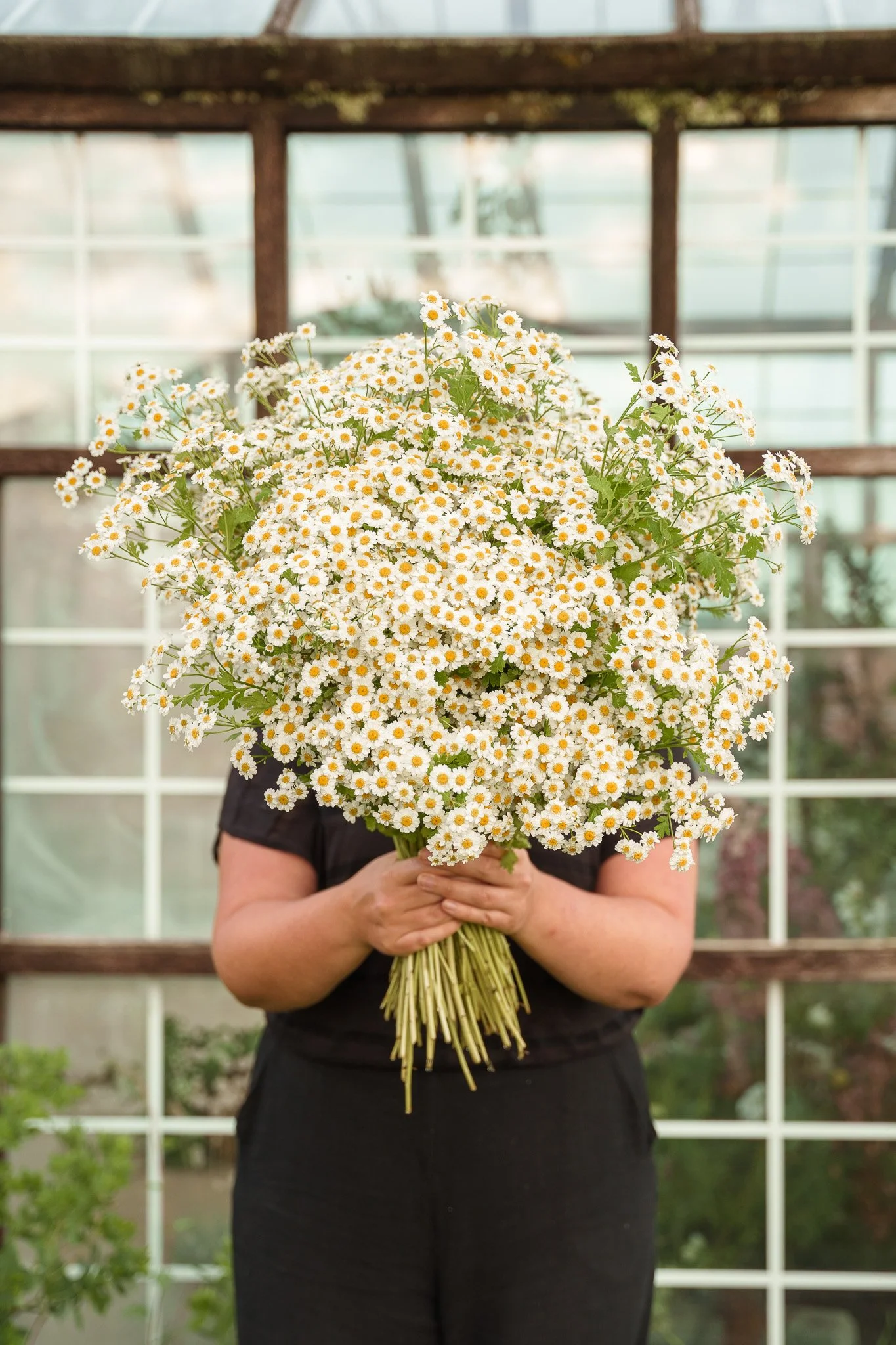 2024-06-26 - Hannah - 0037.jpg