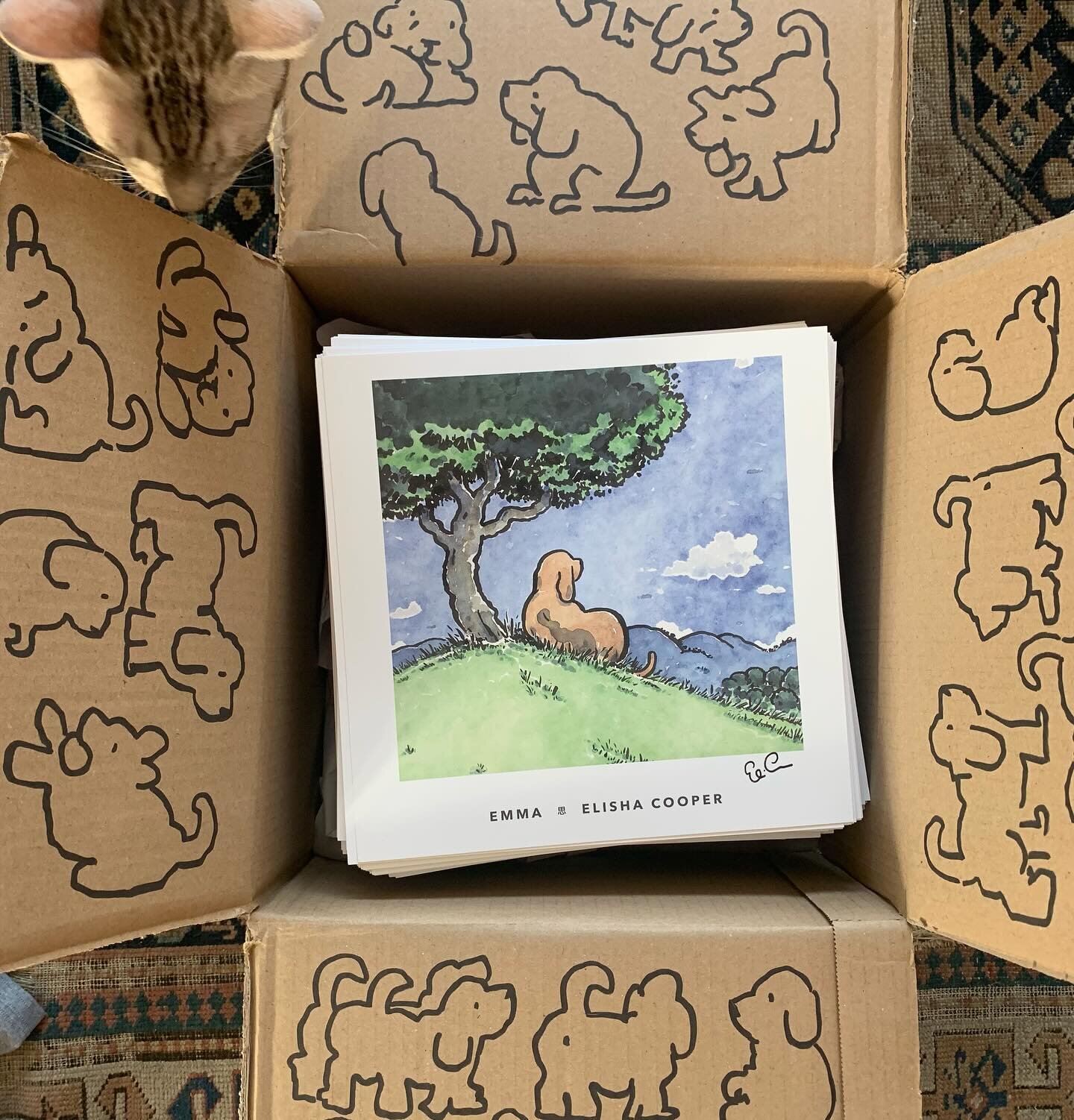 How many puppies in the box?
Actually, only cats! And Emma prints, printed by @mackidsbooks, and signed by me, and heading out soon to independent bookstores across the country 

#bookstagram
#picturebook
#childrensbookstagram
#kidsbookstagram 
#elem