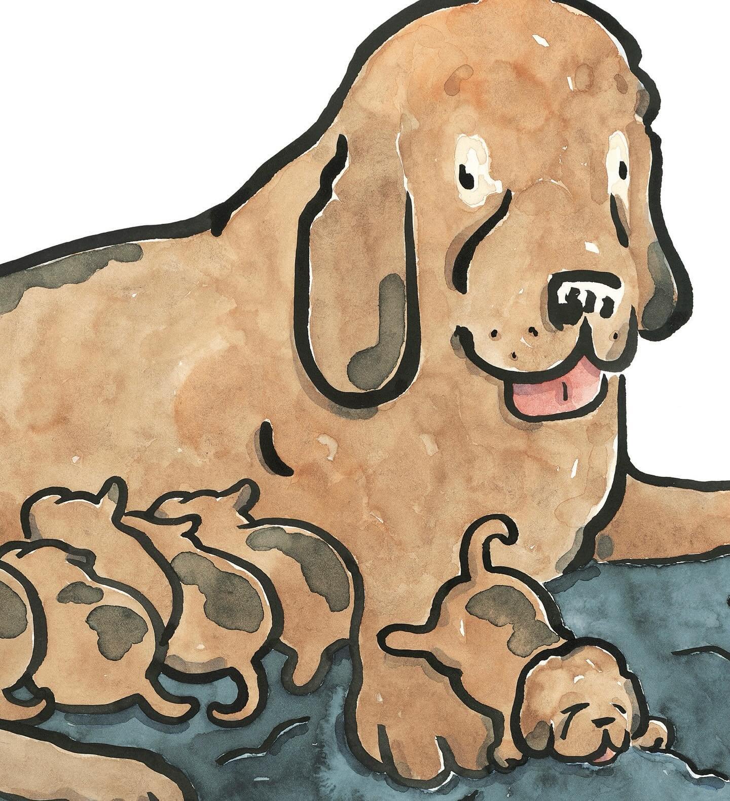 &ldquo;I have never given birth, but some of my favorite people in the world have.&rdquo;
That&rsquo;s the first sentence of my Mother&rsquo;s Day essay &mdash; about both dog mothers &amp; human mothers &mdash; in the current Nerdy Book Club (link t