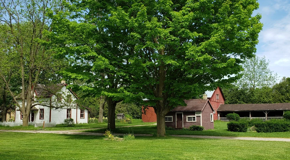 Fanshawe Pioneer Village Where the Past is Present