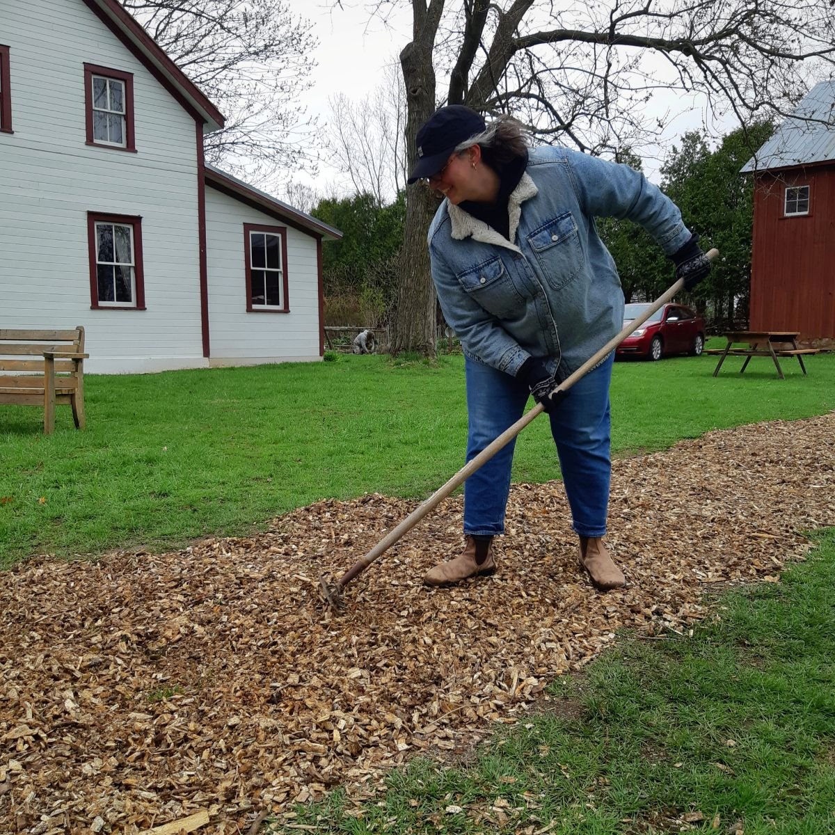 A person rakes mulch pathway in front of a red barn.