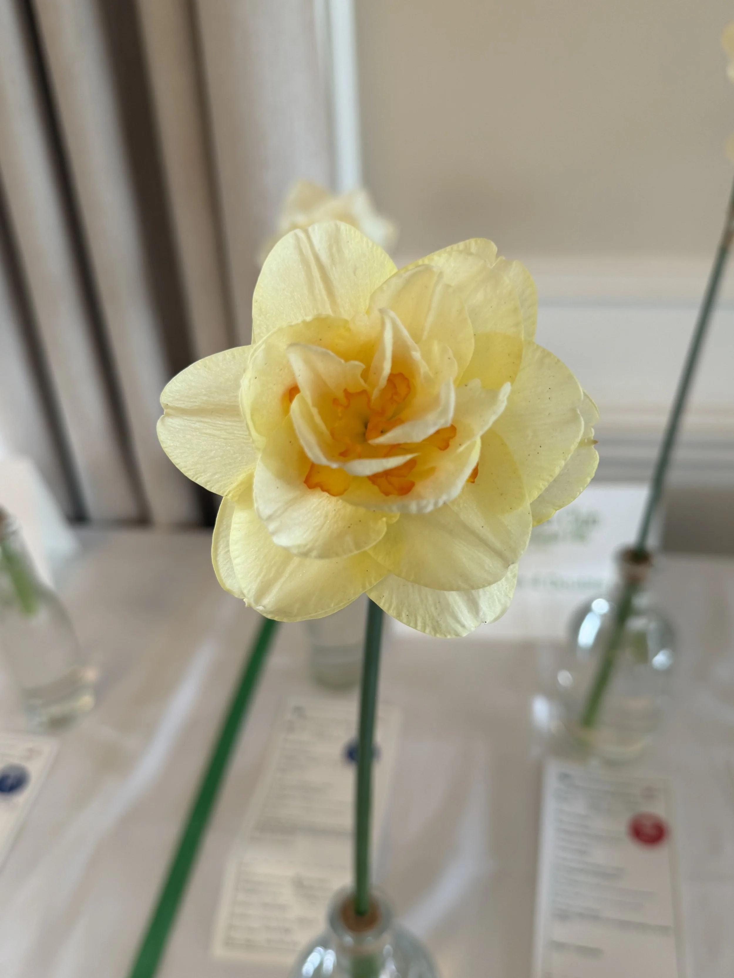 IMG_6920.jpeg