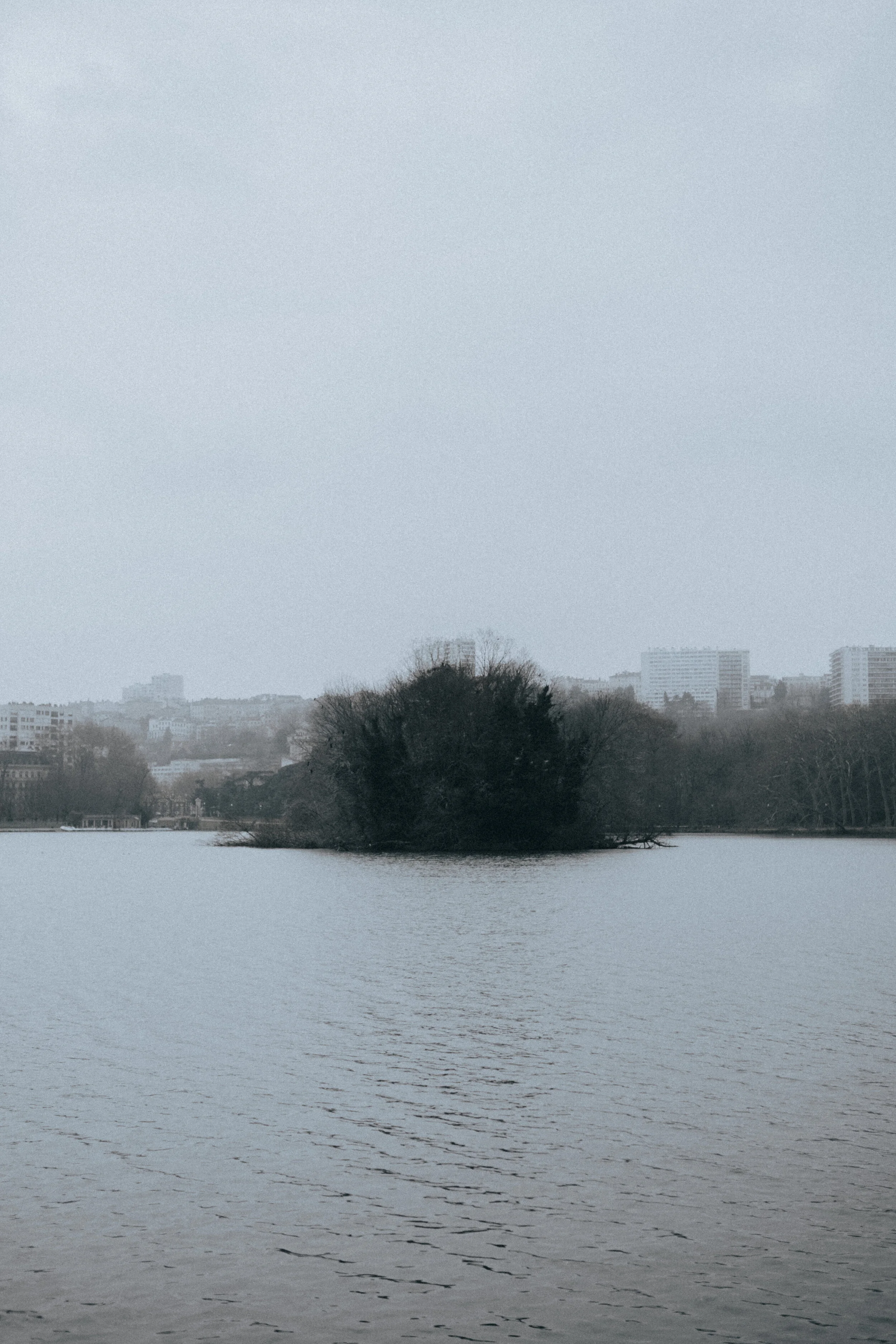 DSCF8363.jpg