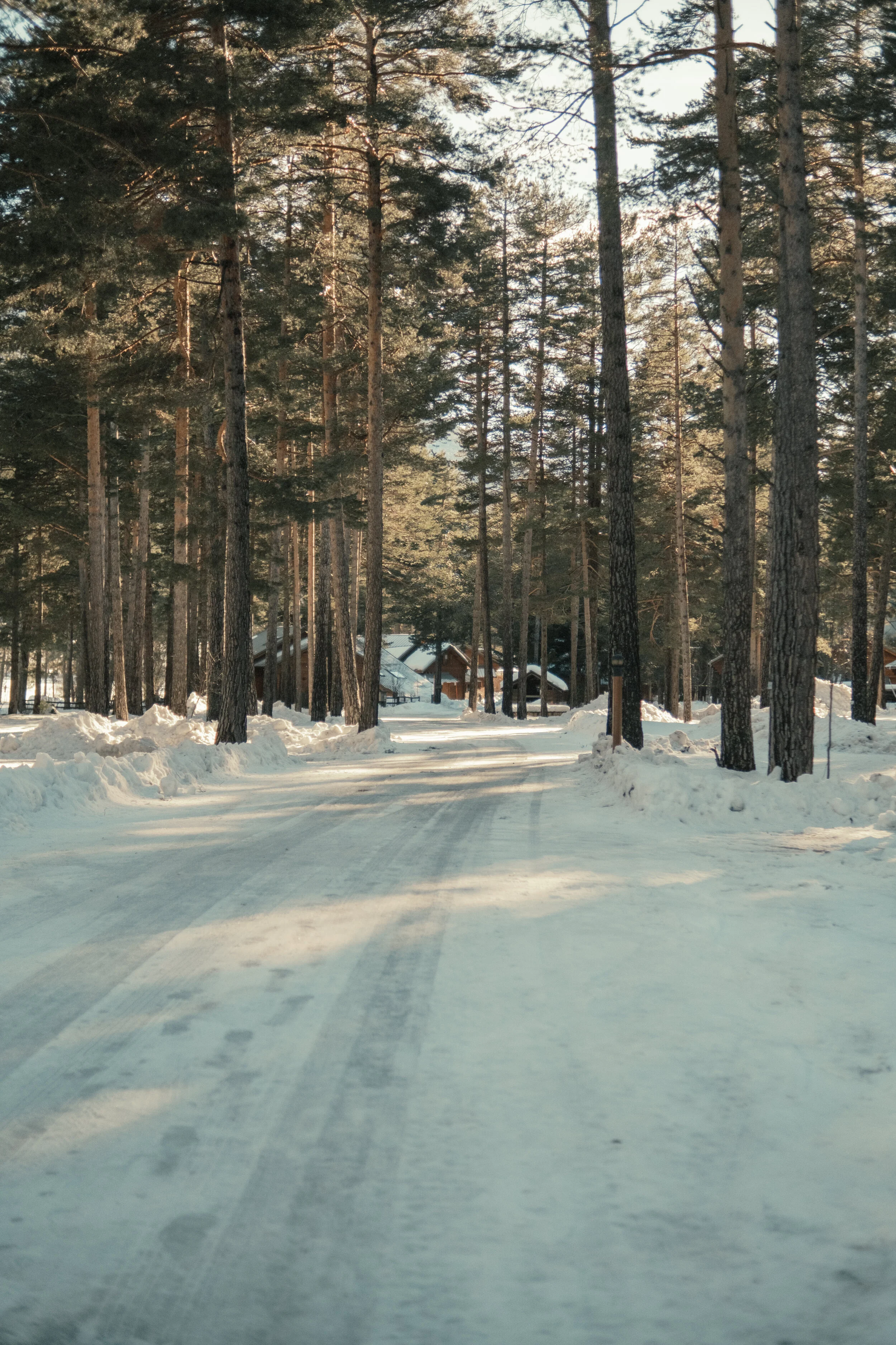 DSCF2937.jpg