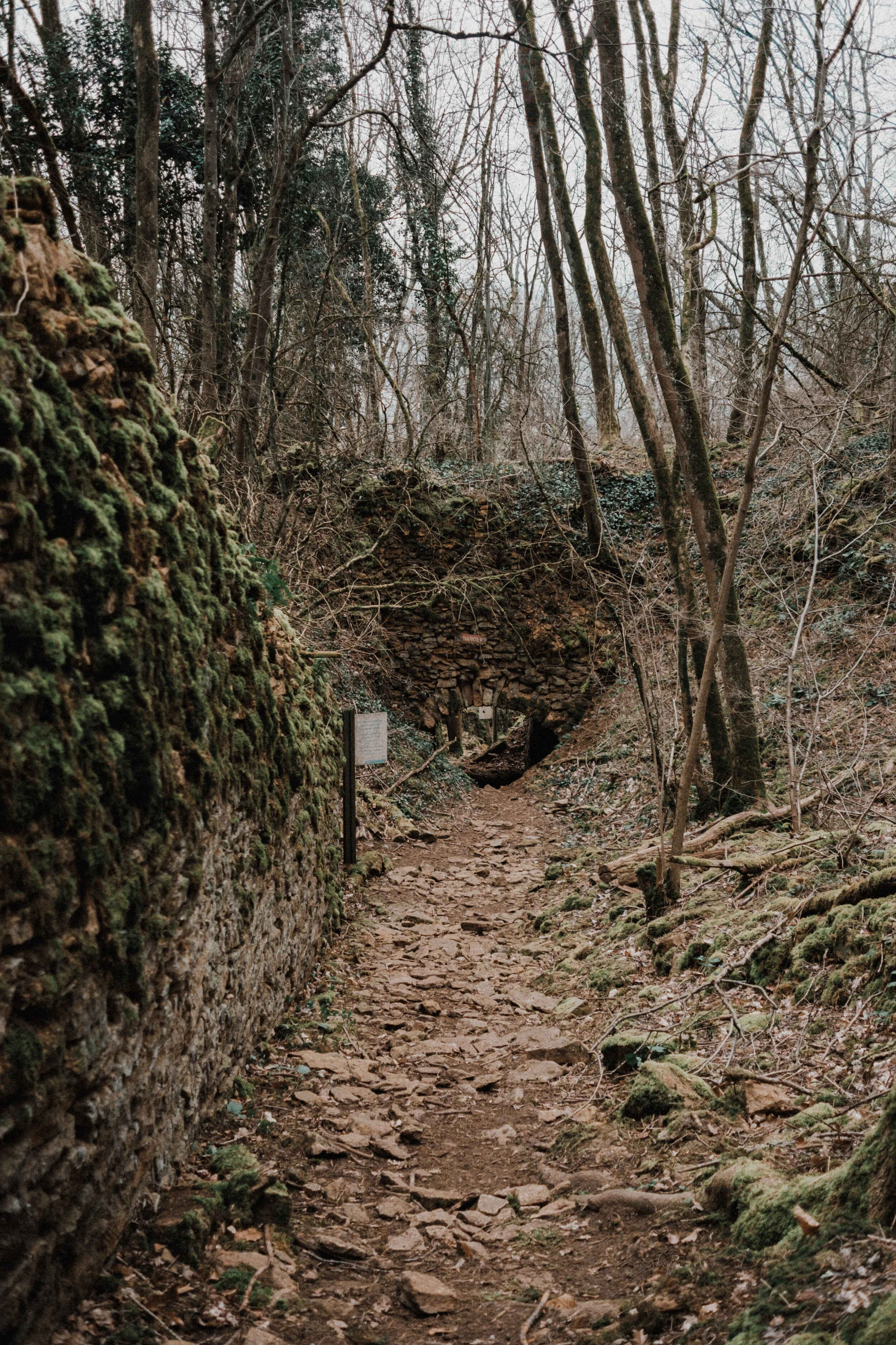 DSCF8116.jpg