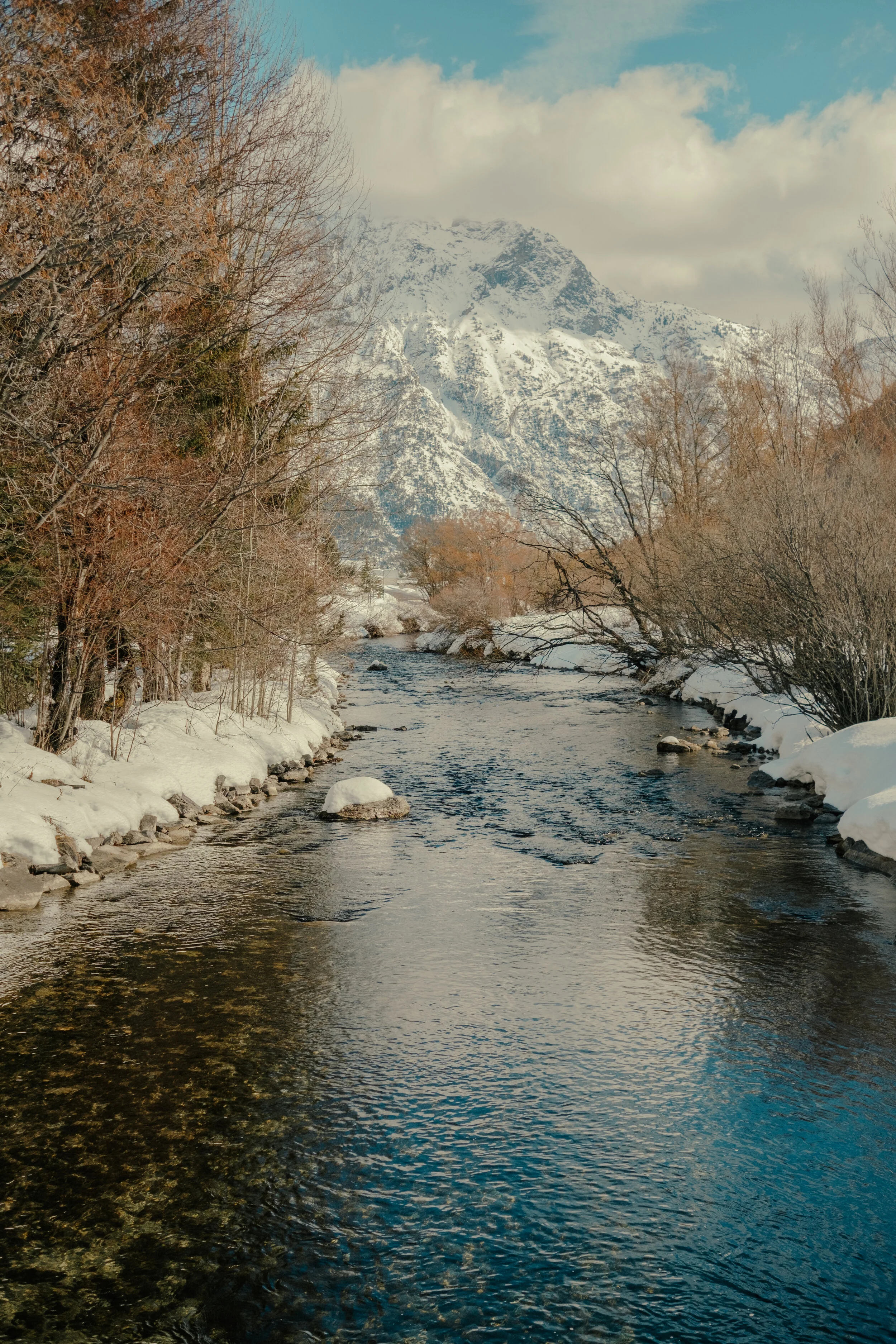 DSCF3163.jpg