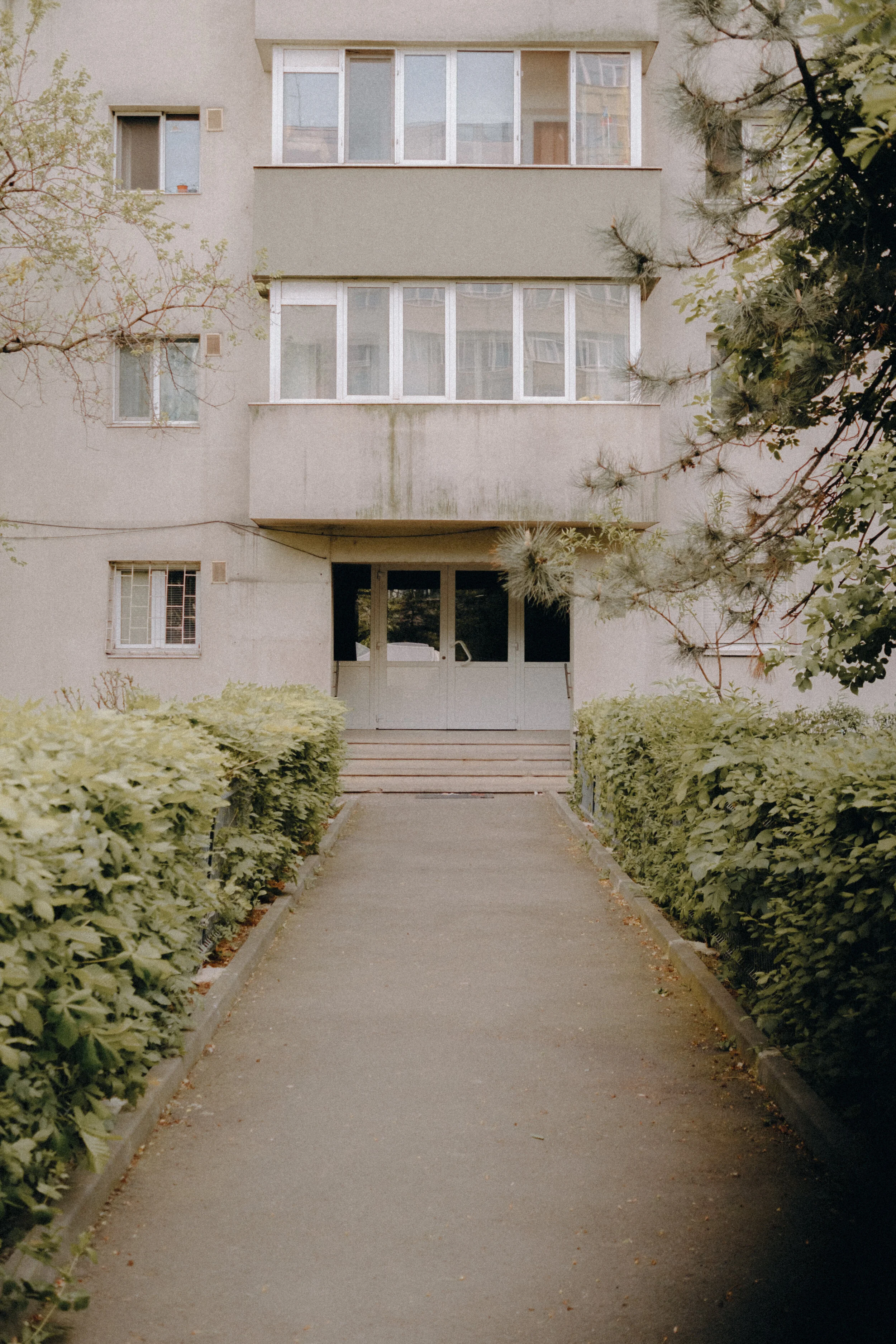 DSCF1154.jpg
