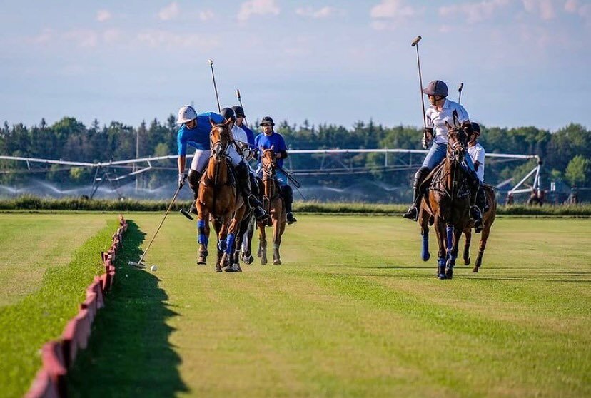 Missing these sunny polo-filled summer days, only 139 days till the first day of summer! 😂🥶☀️❄️
&bull;
Photo Creds @_juliavigeon 
&bull;
#polo #torontopolo #tpc #summervibes #countdowntosummer #summer2021 #torontopoloclub #torontosports #thisispolo