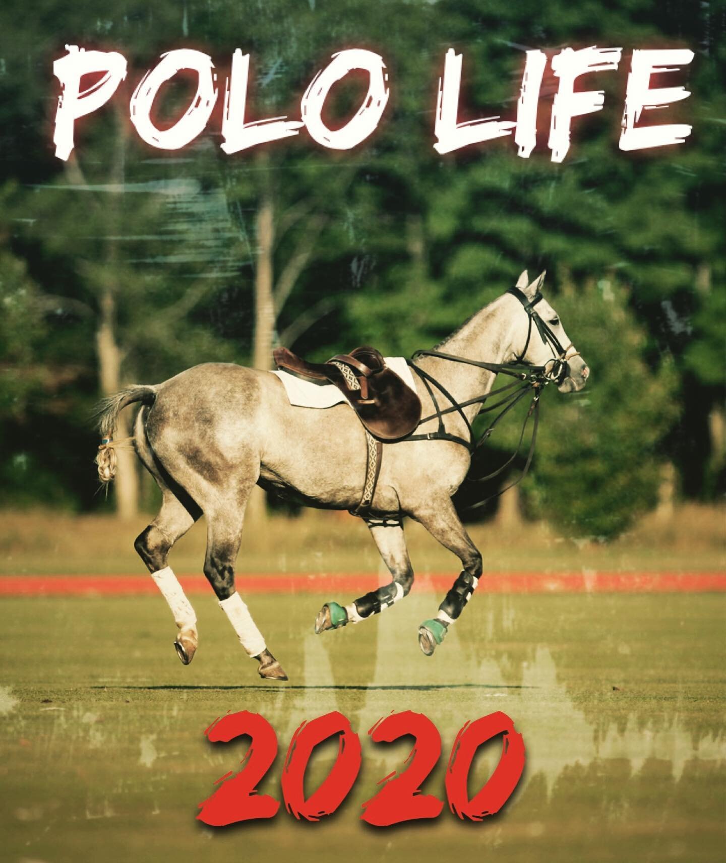 Goodbye 2020  #2021 #playpolo #poloplayers #poloponies🐎 #polohorse #polocanada #poloseason #📸@northernpolo