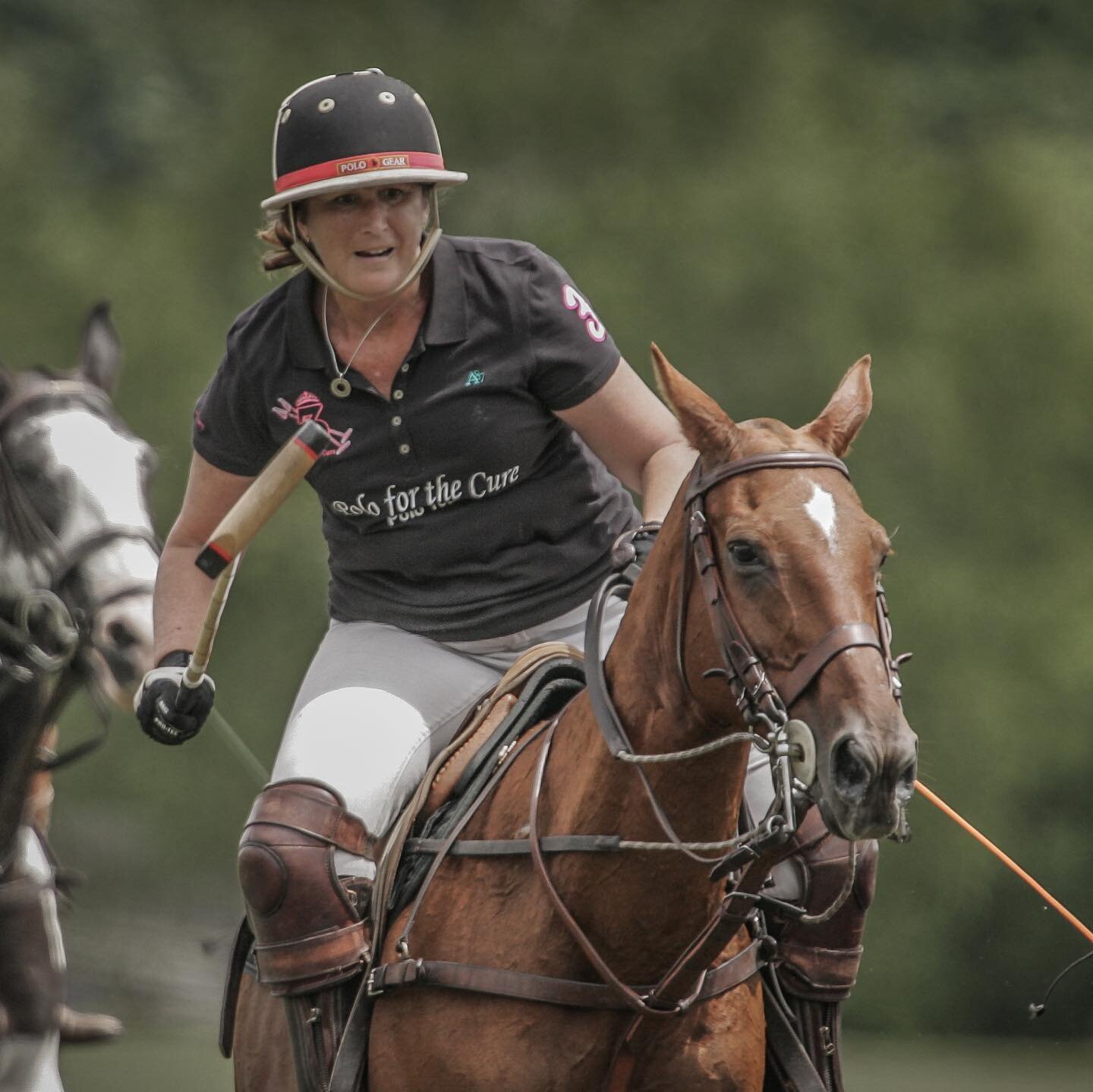 Happy international women&rsquo;s day #internationalwomensday #womeninpolo  @northernpolo #📸