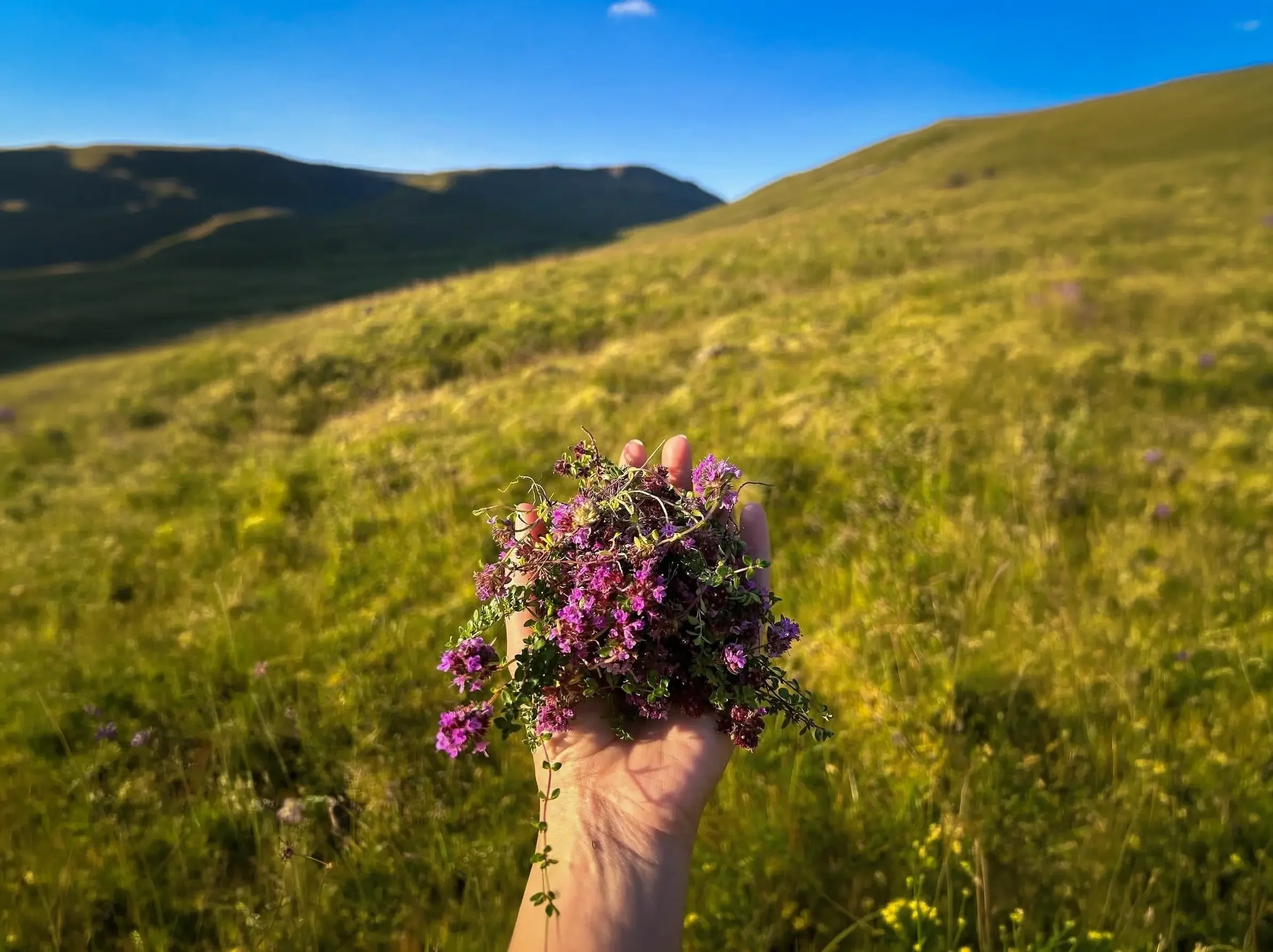 Earthing and nature experience in Iceland with guided walk by lake and mountain landscape
