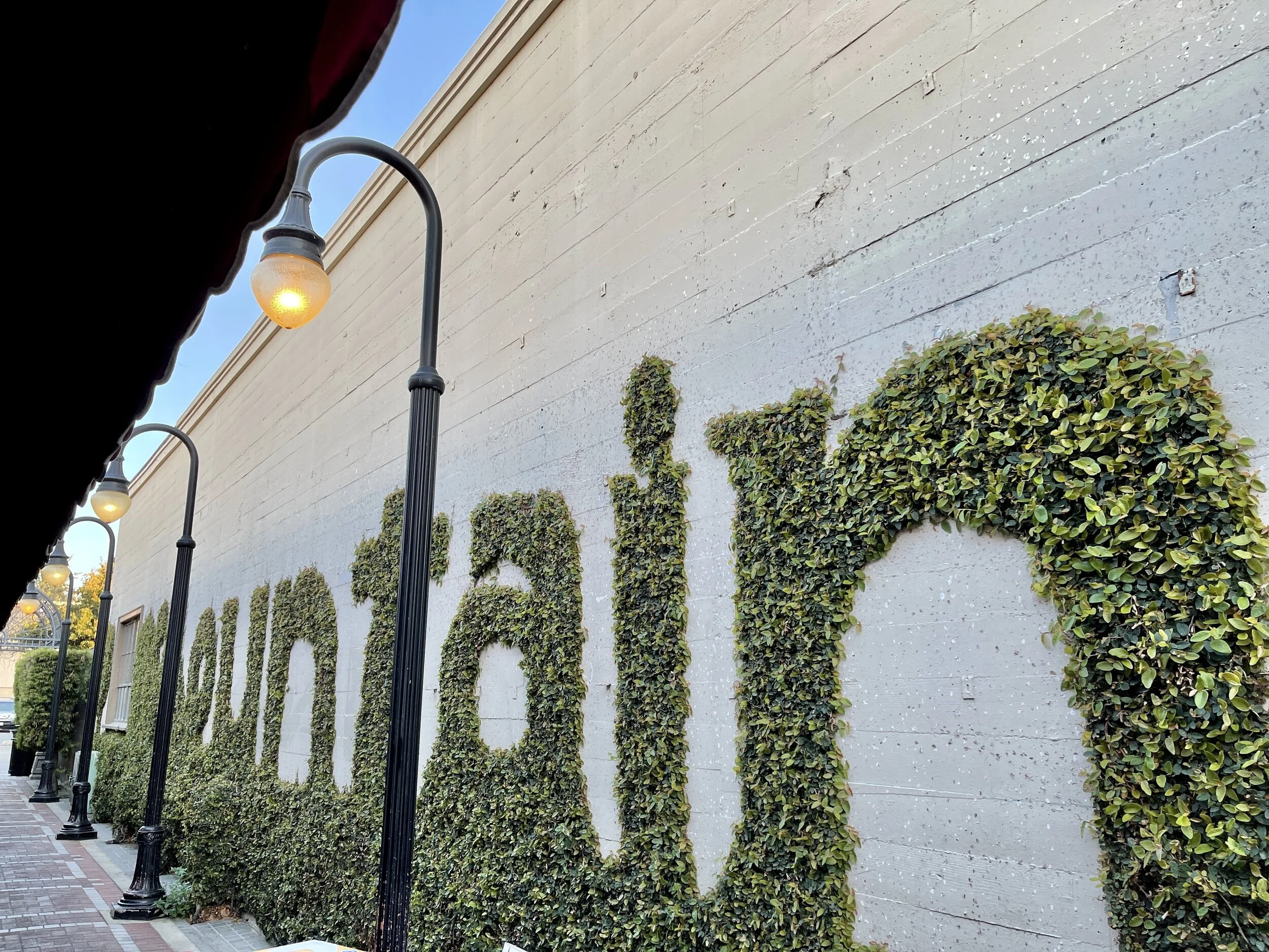 Mountain View Housing Element