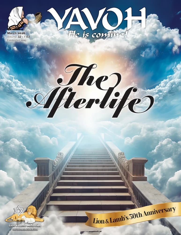 The Afterlife