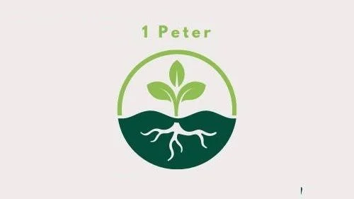Shepherding the Flock (1 Peter 5:1–5) episode artwork