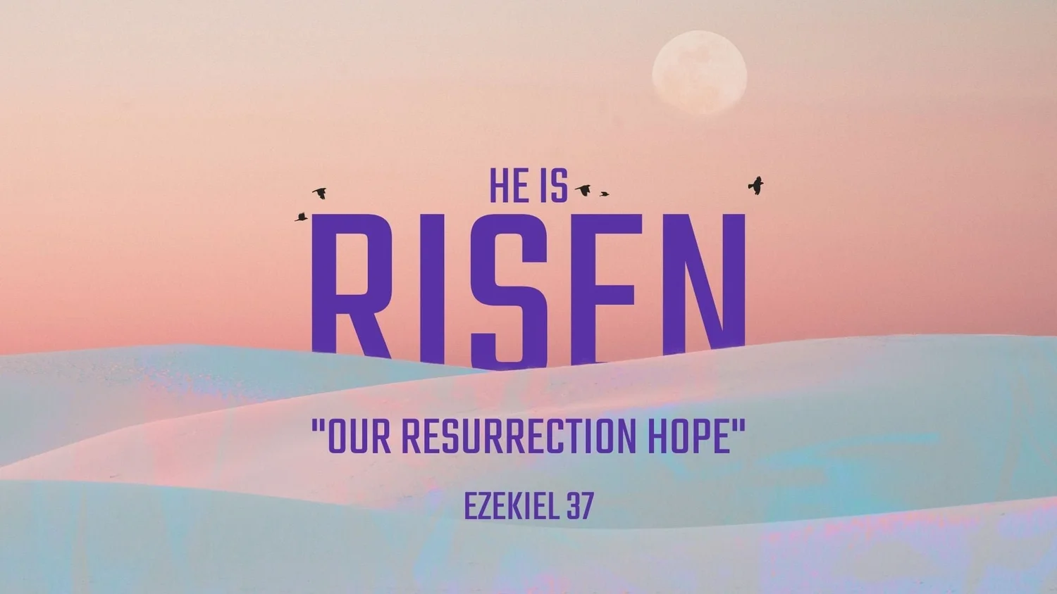 Our Resurrection Hope (Ezek. 37:1–14) episode artwork