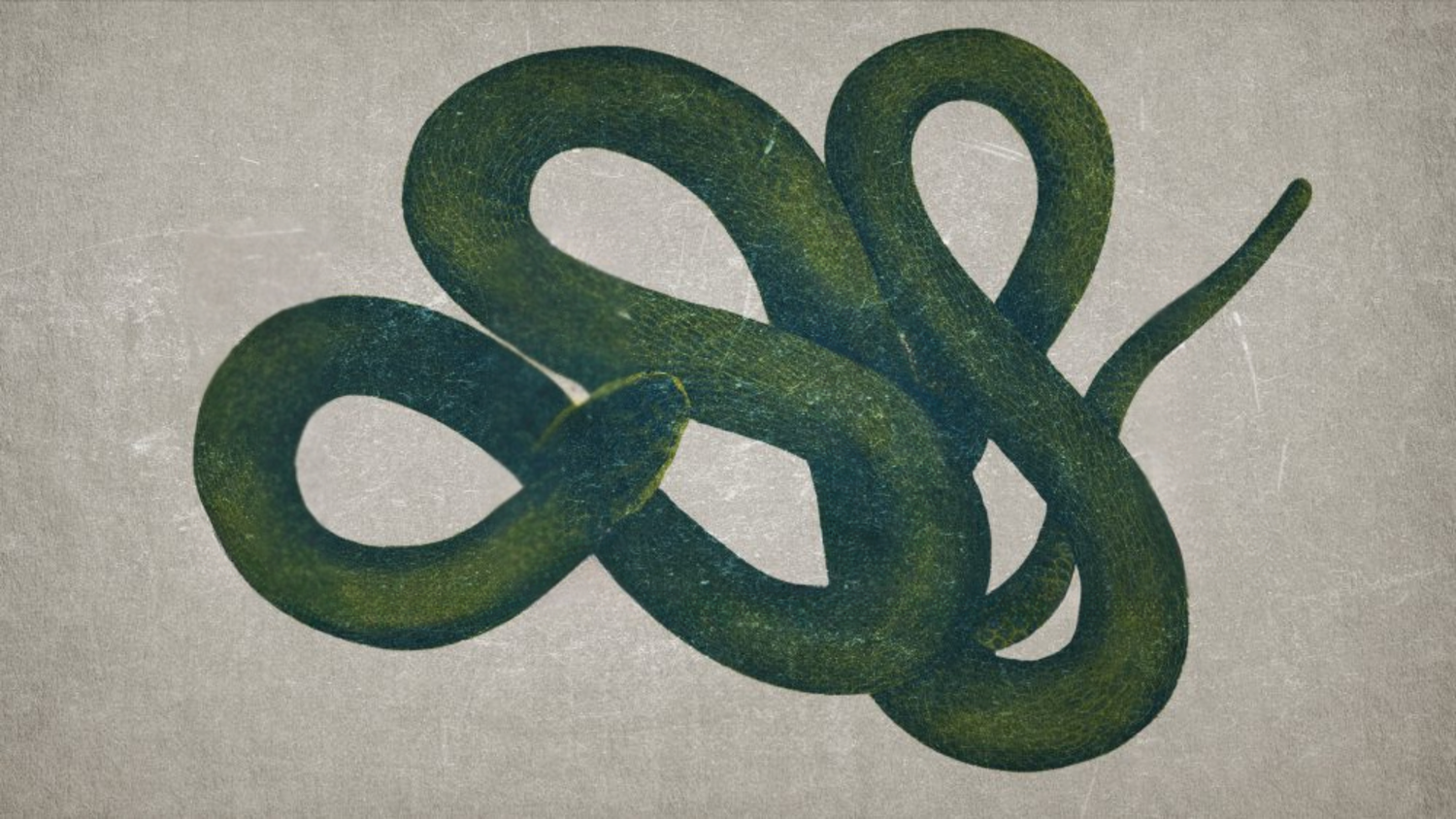 Contend for the Faith (Jude 1–25) episode artwork