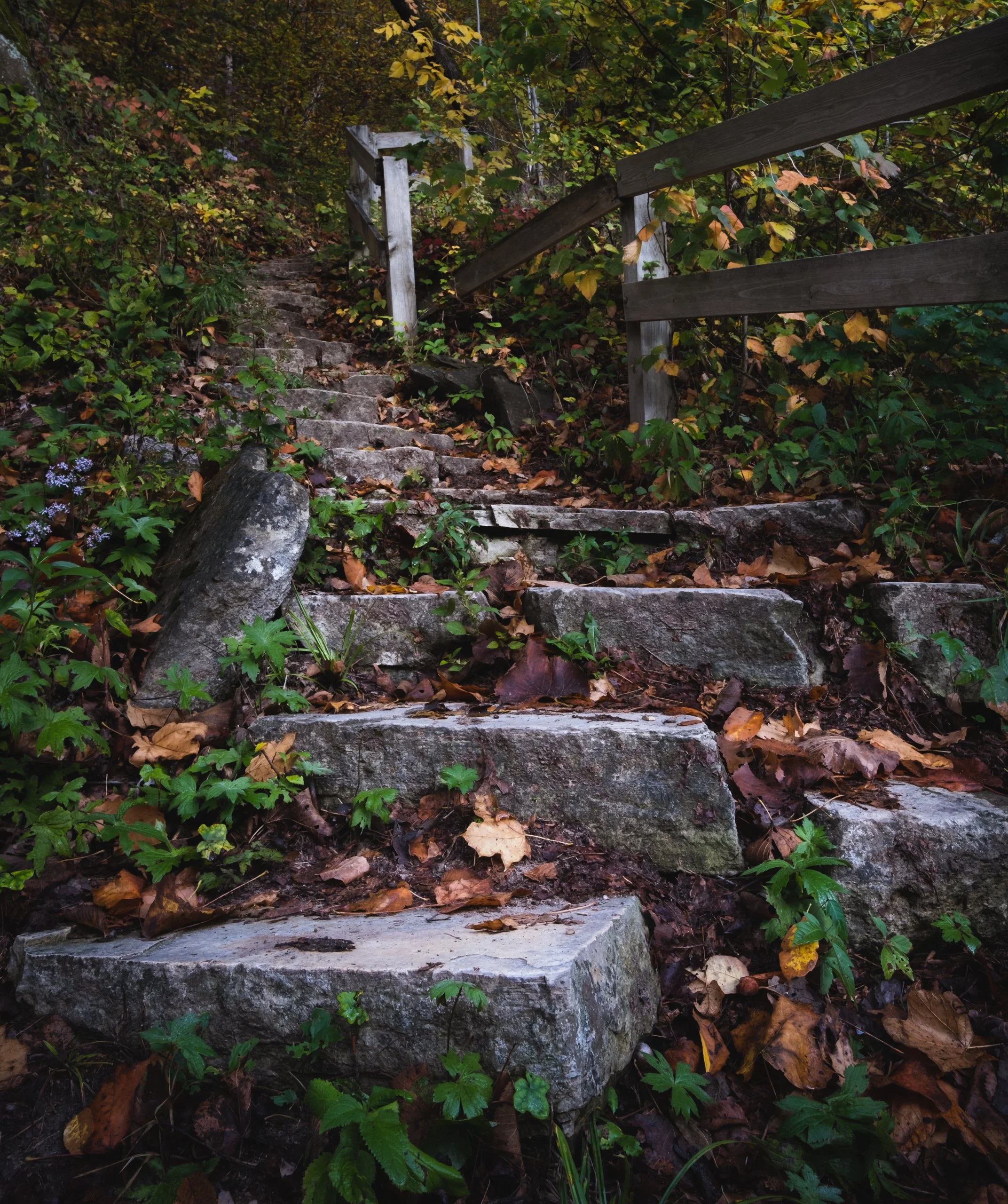 chris-boeke-20211002_Iowa Landscapes_3247.jpg