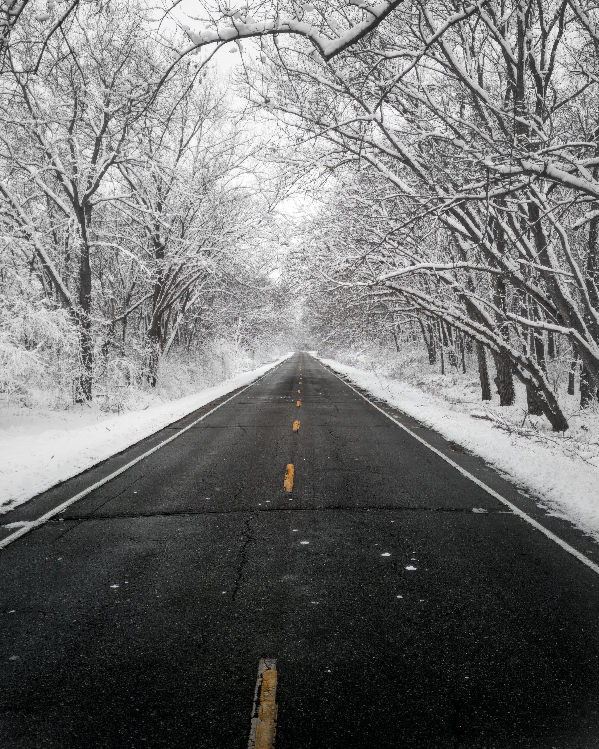 chris-boeke-20240111_Winterscape-Walnut Woods_.jpg