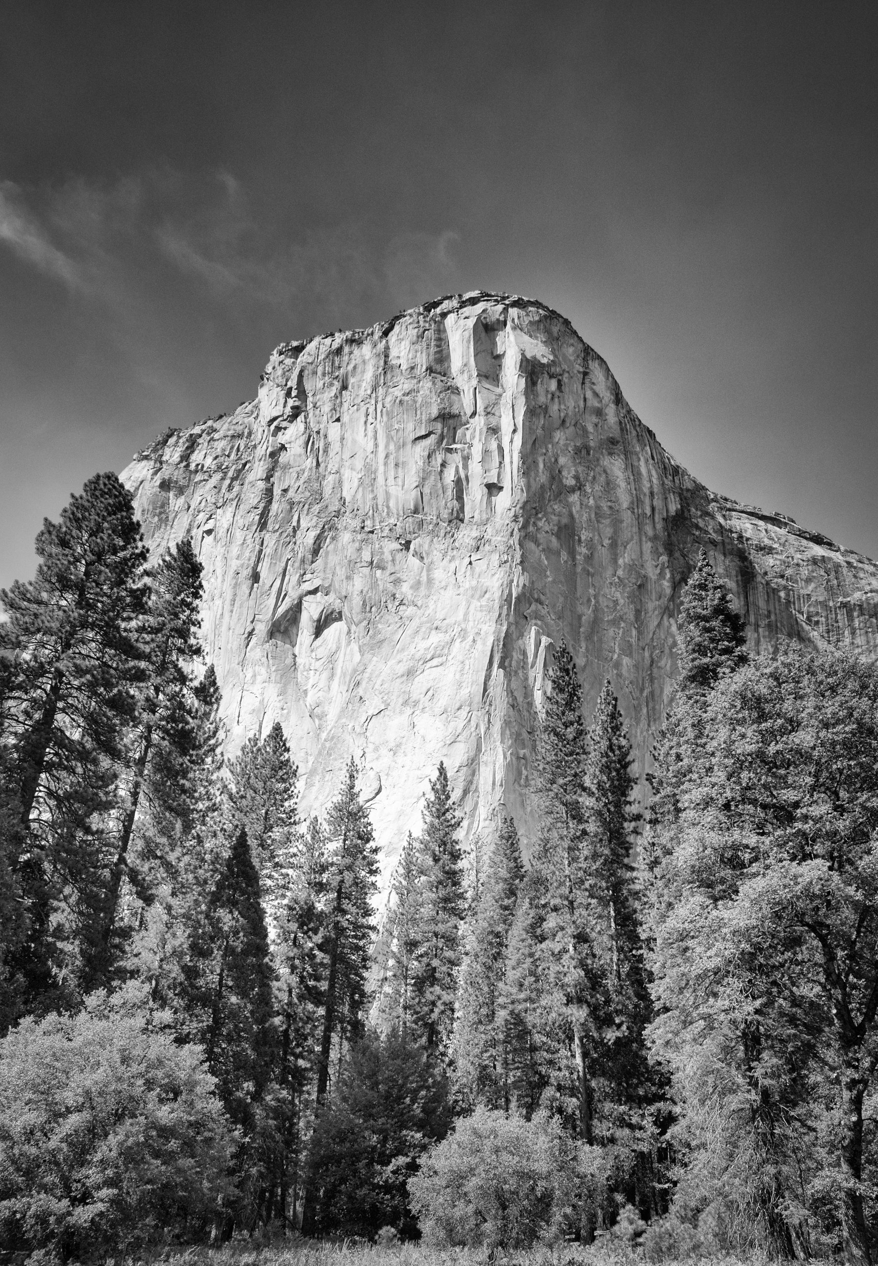 chris-boeke-20130729_Yosemite-San Francisco_2424.jpg