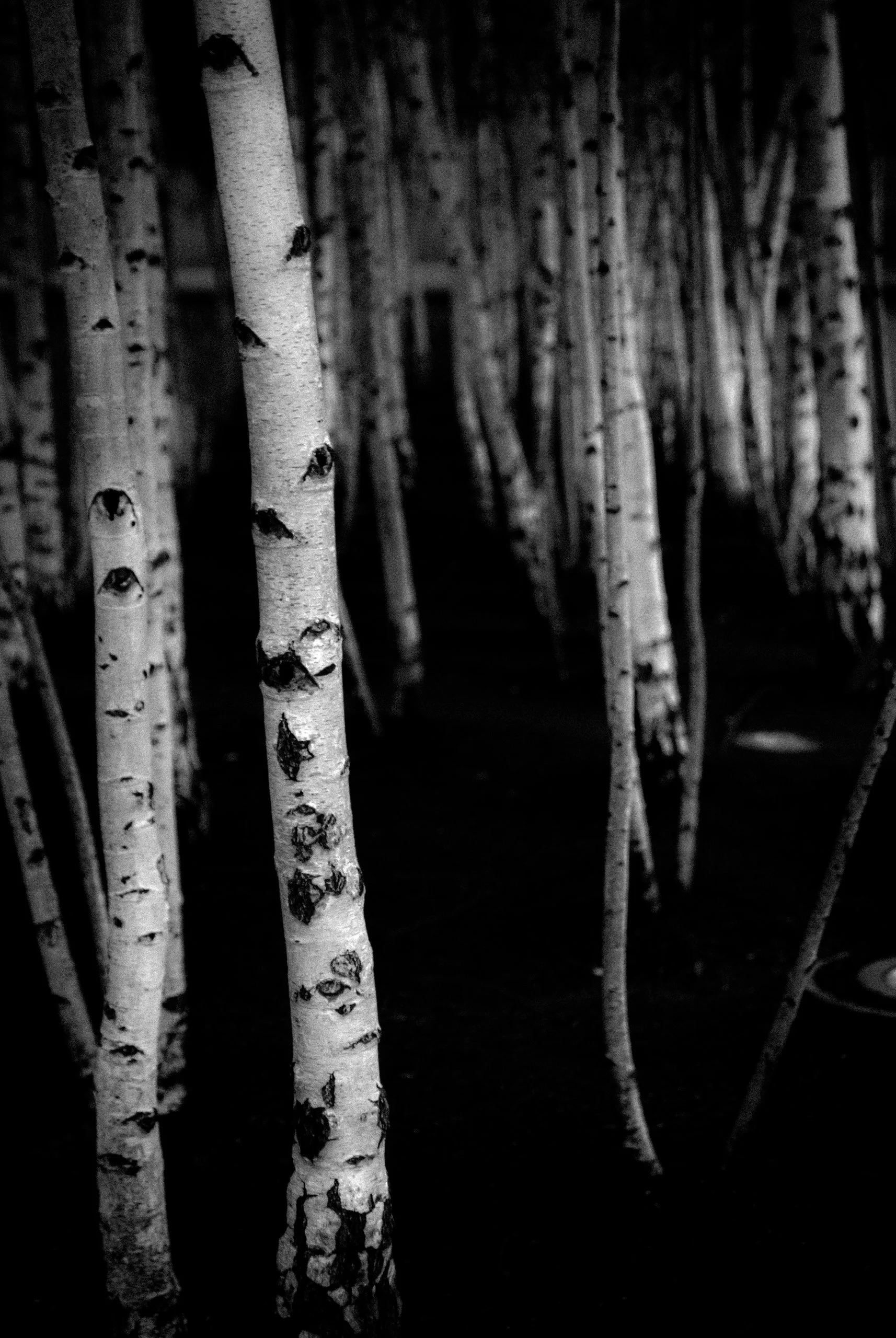 chris-boeke-20121102_Travel-London Street Architecture_14051.jpg