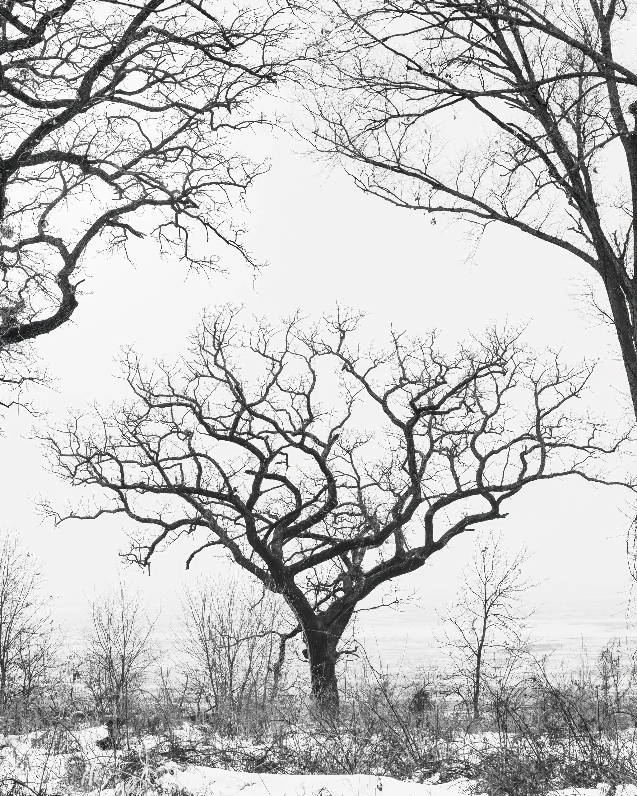 chris-boeke-20240126_Winterscape-Lake Red Rock_9310.jpg