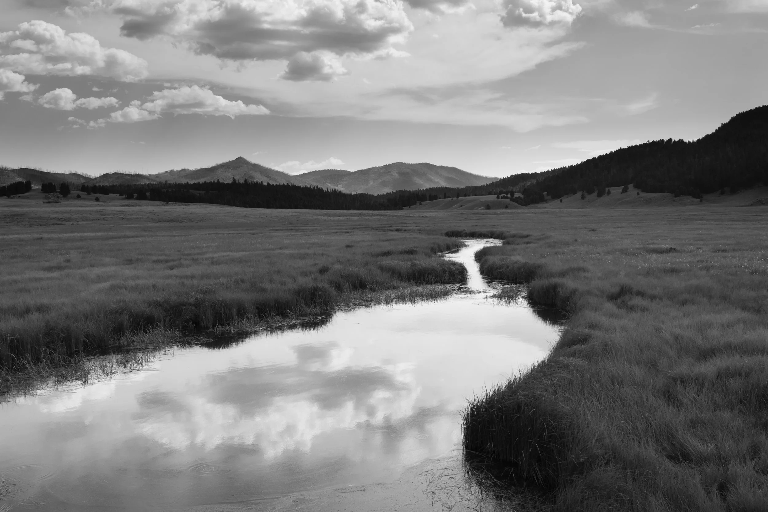 chris-boeke-20240713_Landscape_Santa-Fe-National-Forest_XT5-334.jpg