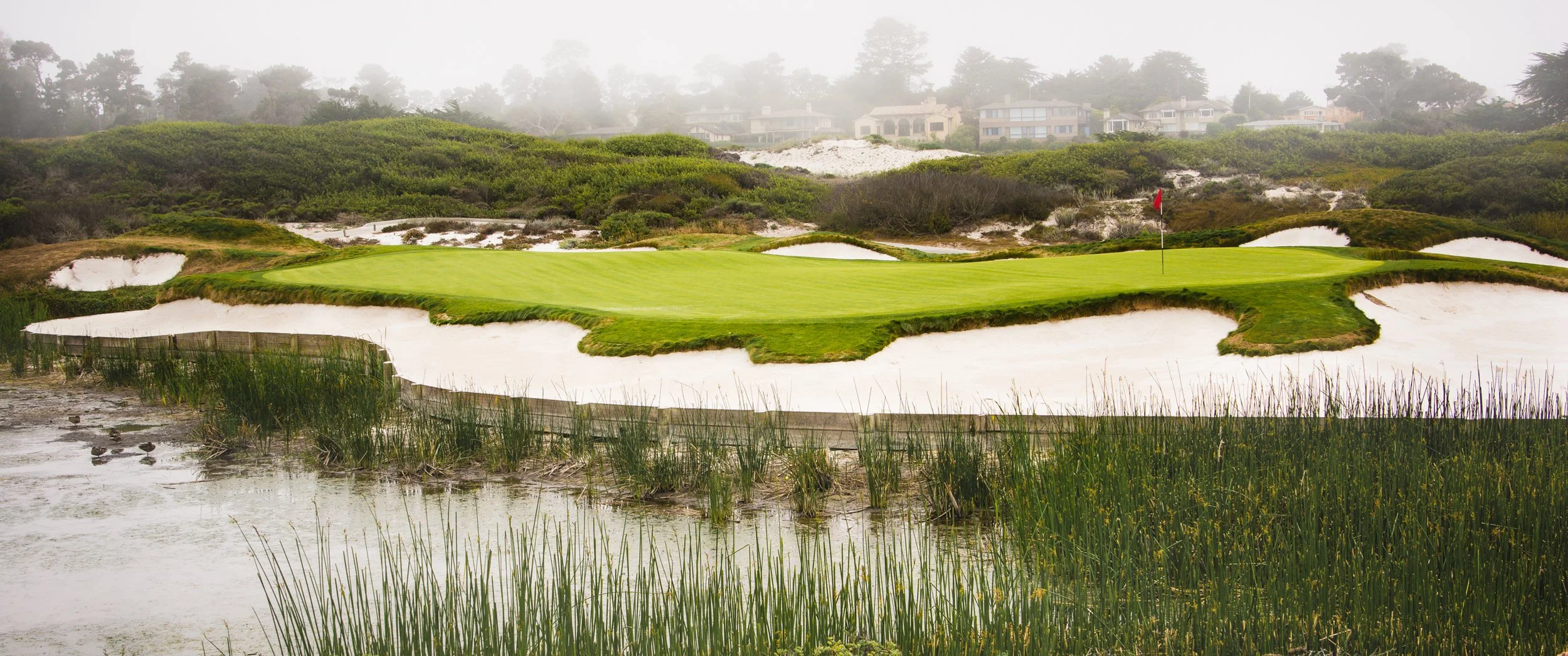 chris-boeke-20130724_Travel Vacation-Monteray Bay_1195.jpg