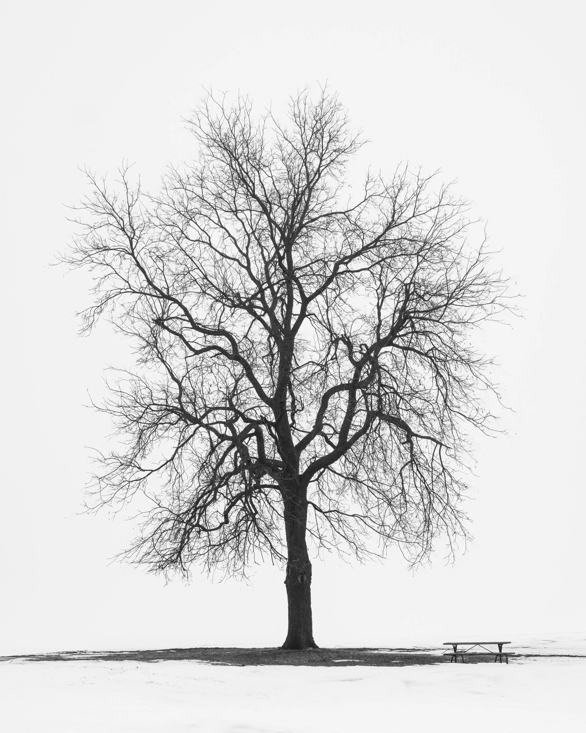 chris-boeke-20240126_Winterscape-Lake Red Rock_9289.jpg