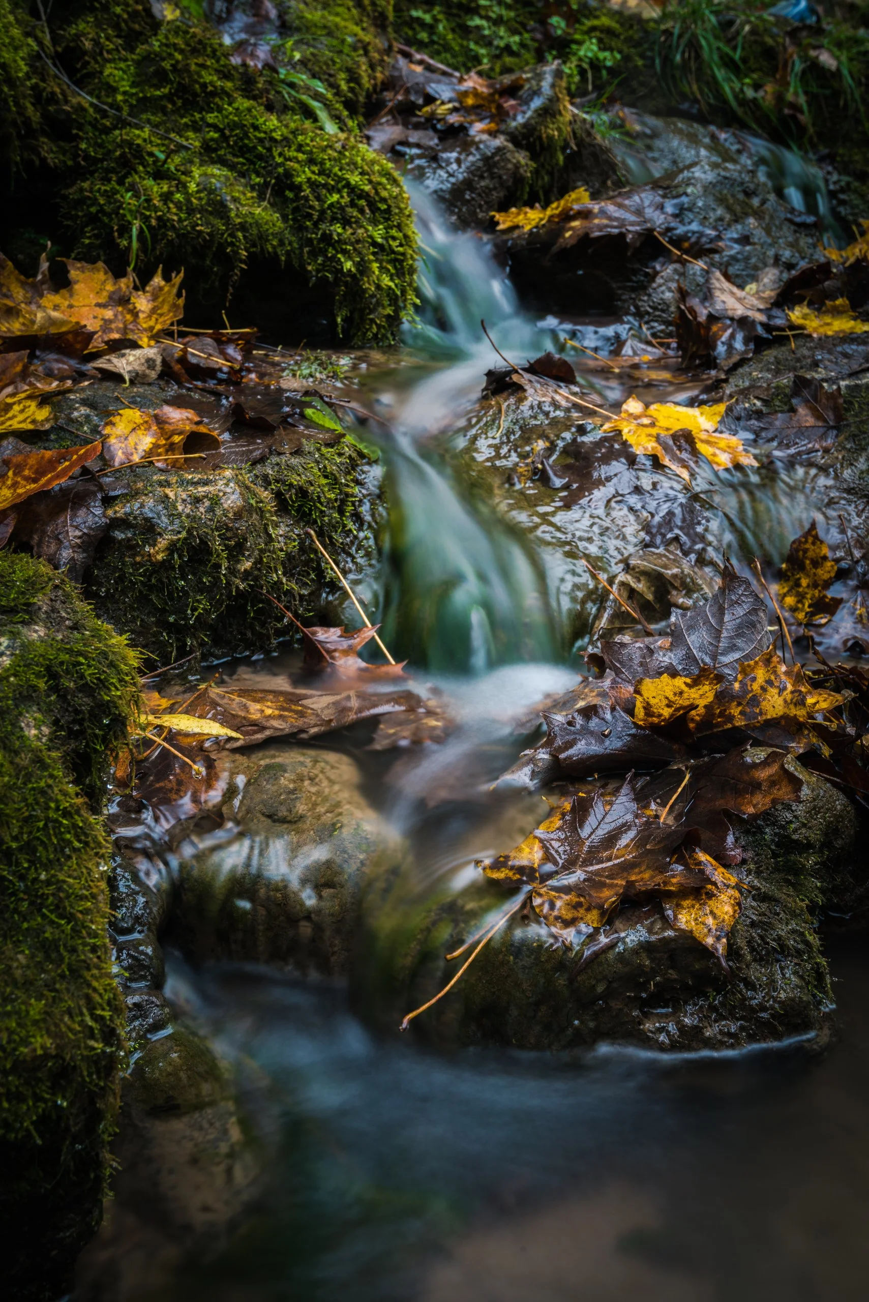 chris-boeke-20161015_Maquoketa Caves-Maquoketa_10536.jpg