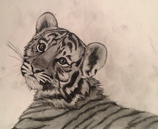 tiger.png
