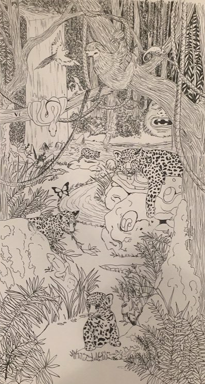 rainforest1.png