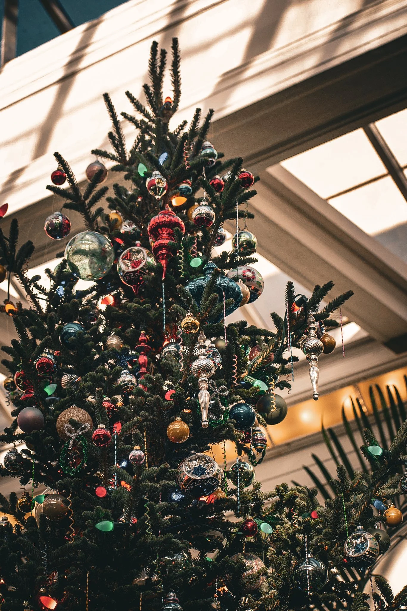 longwood christmas 23-10.jpg