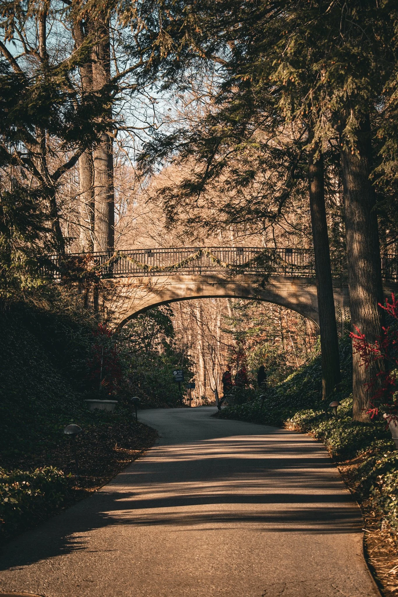 longwood christmas 23-13.jpg