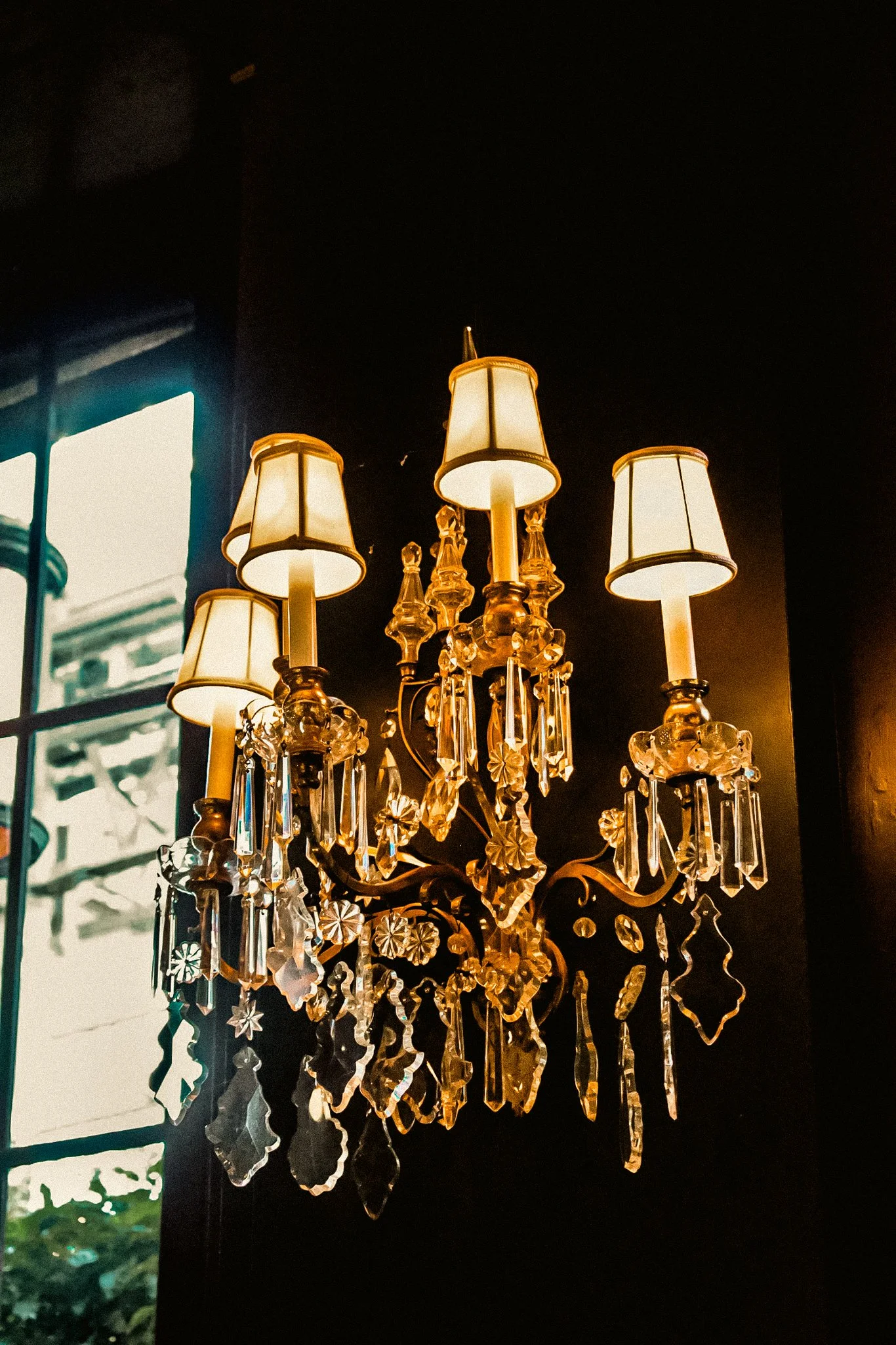 longwood christmas 23.jpg