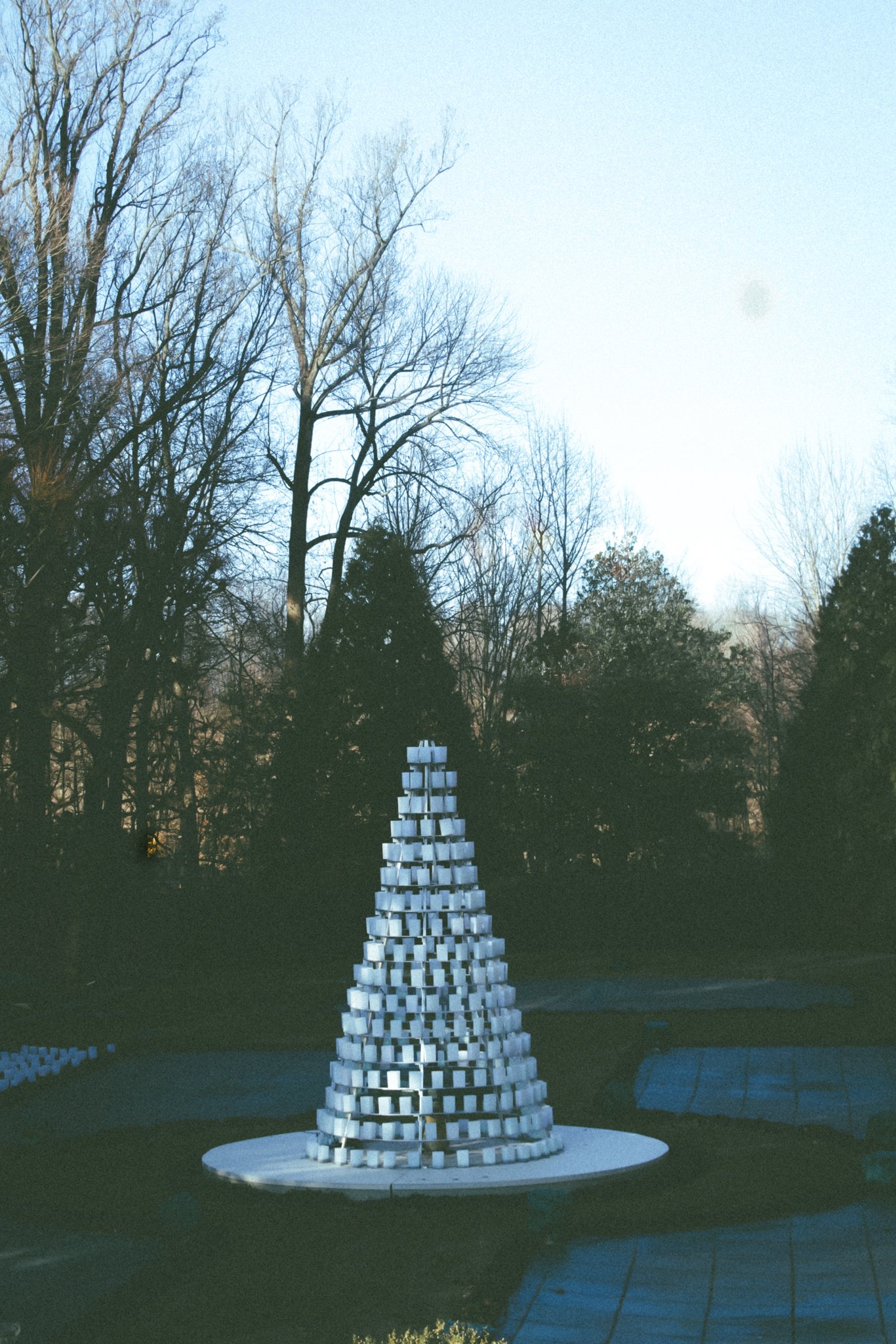 longwood christmas 23-5.jpg