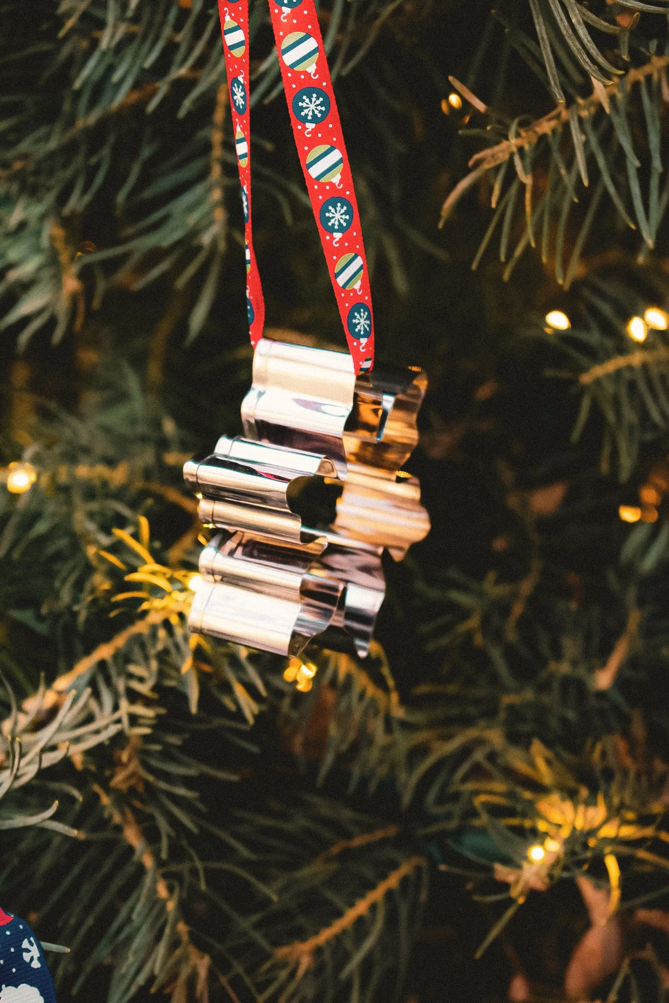 longwood christmas 23-15.jpg