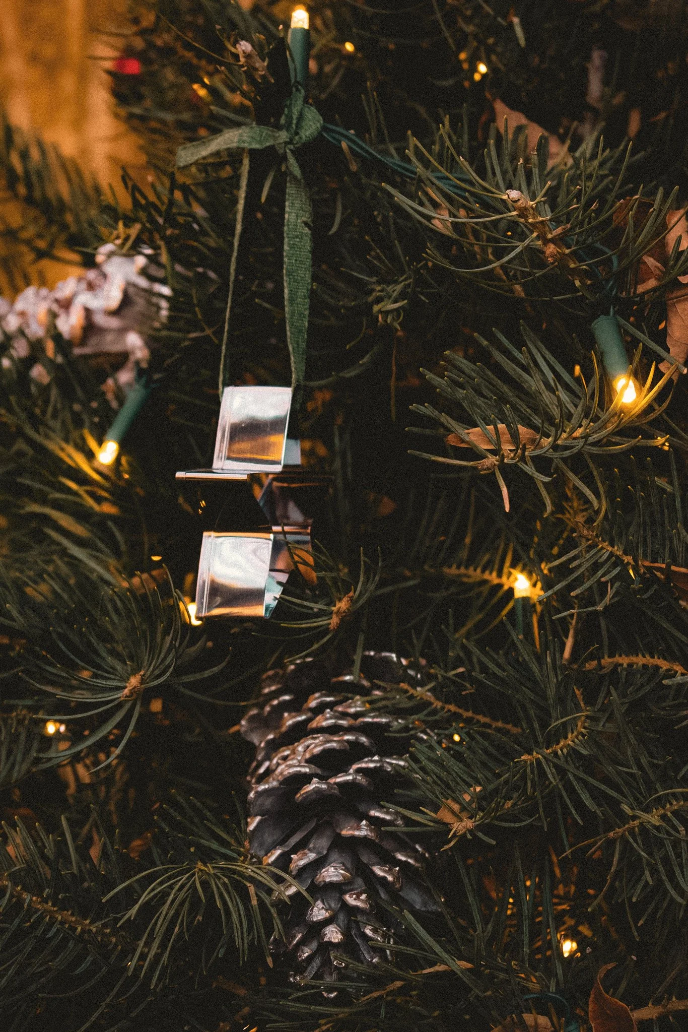 longwood christmas 23-16.jpg