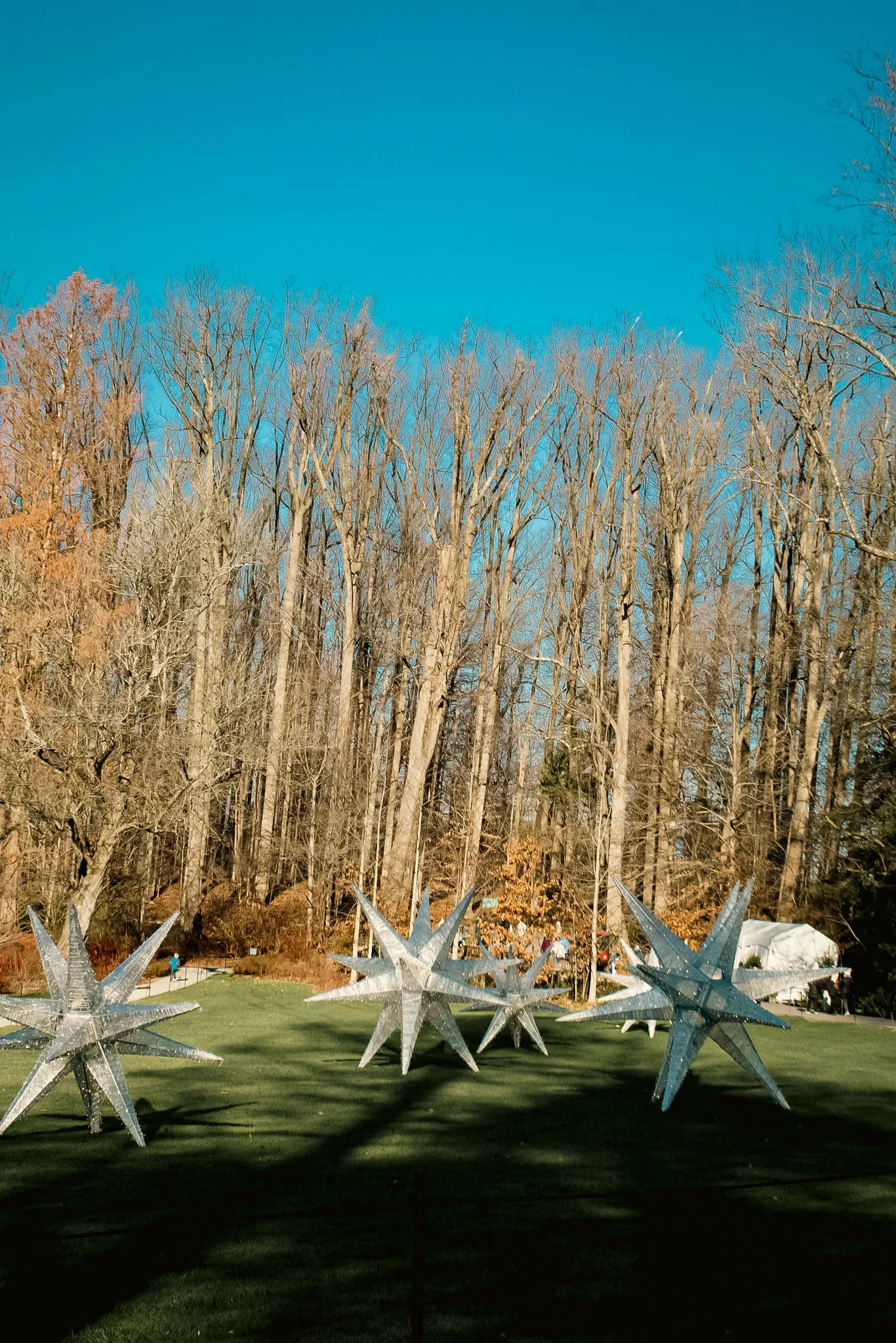 longwood christmas 23-3.jpg