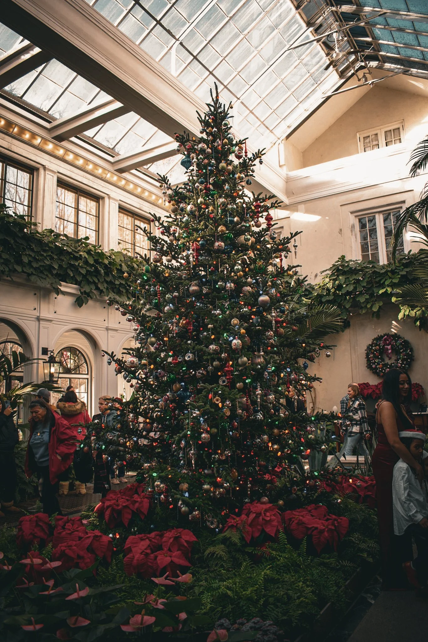 longwood christmas 23-12.jpg