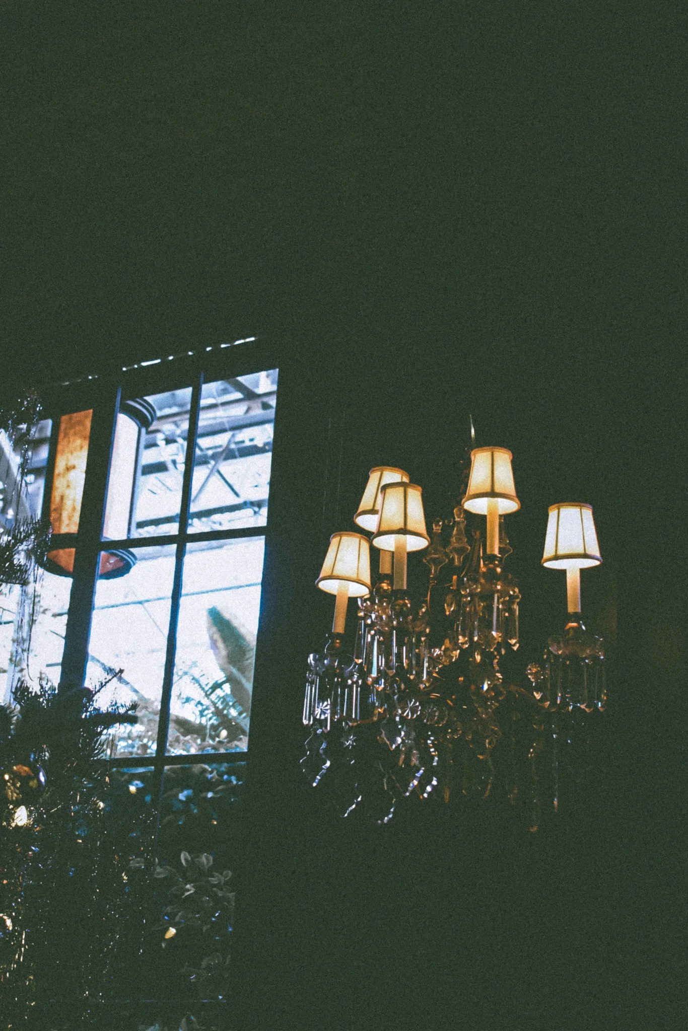 longwood christmas 23-1.jpg