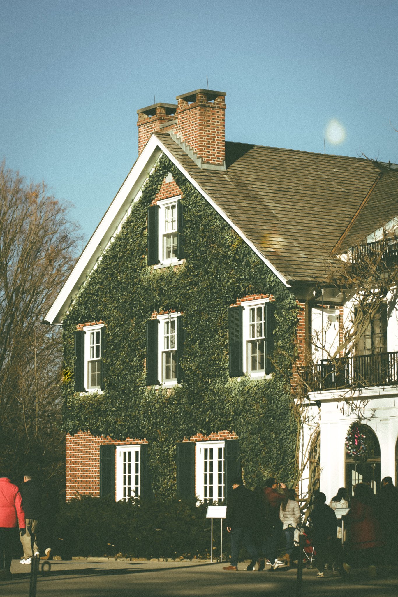 longwood christmas 23-8.jpg