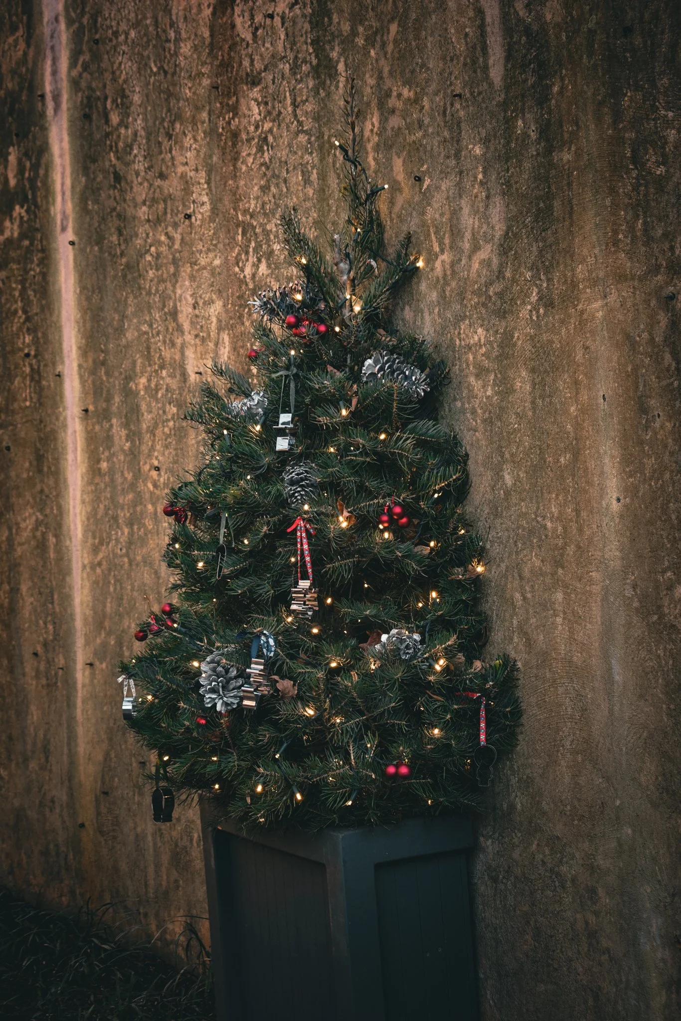 longwood christmas 23-14.jpg