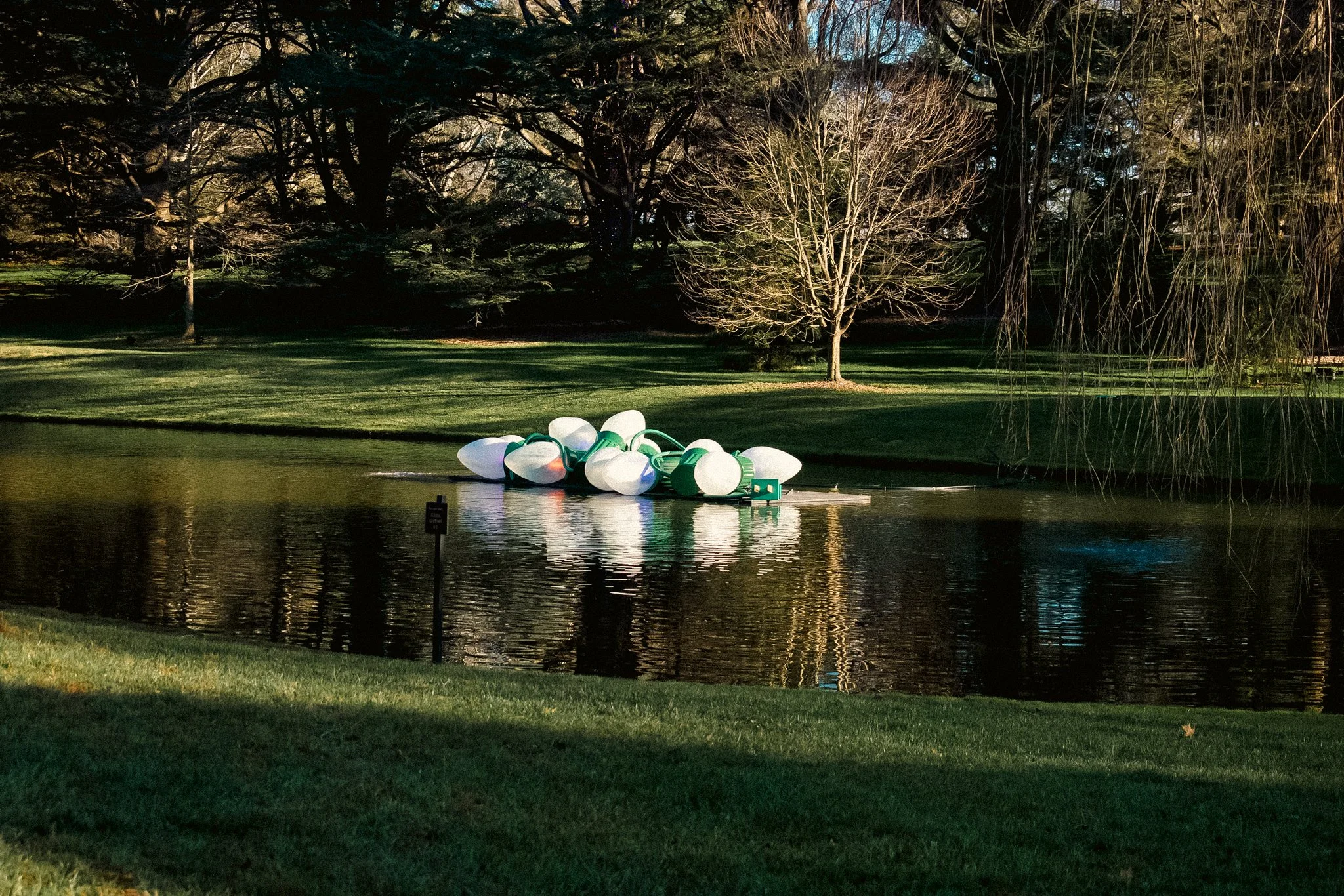 longwood christmas 23-2.jpg